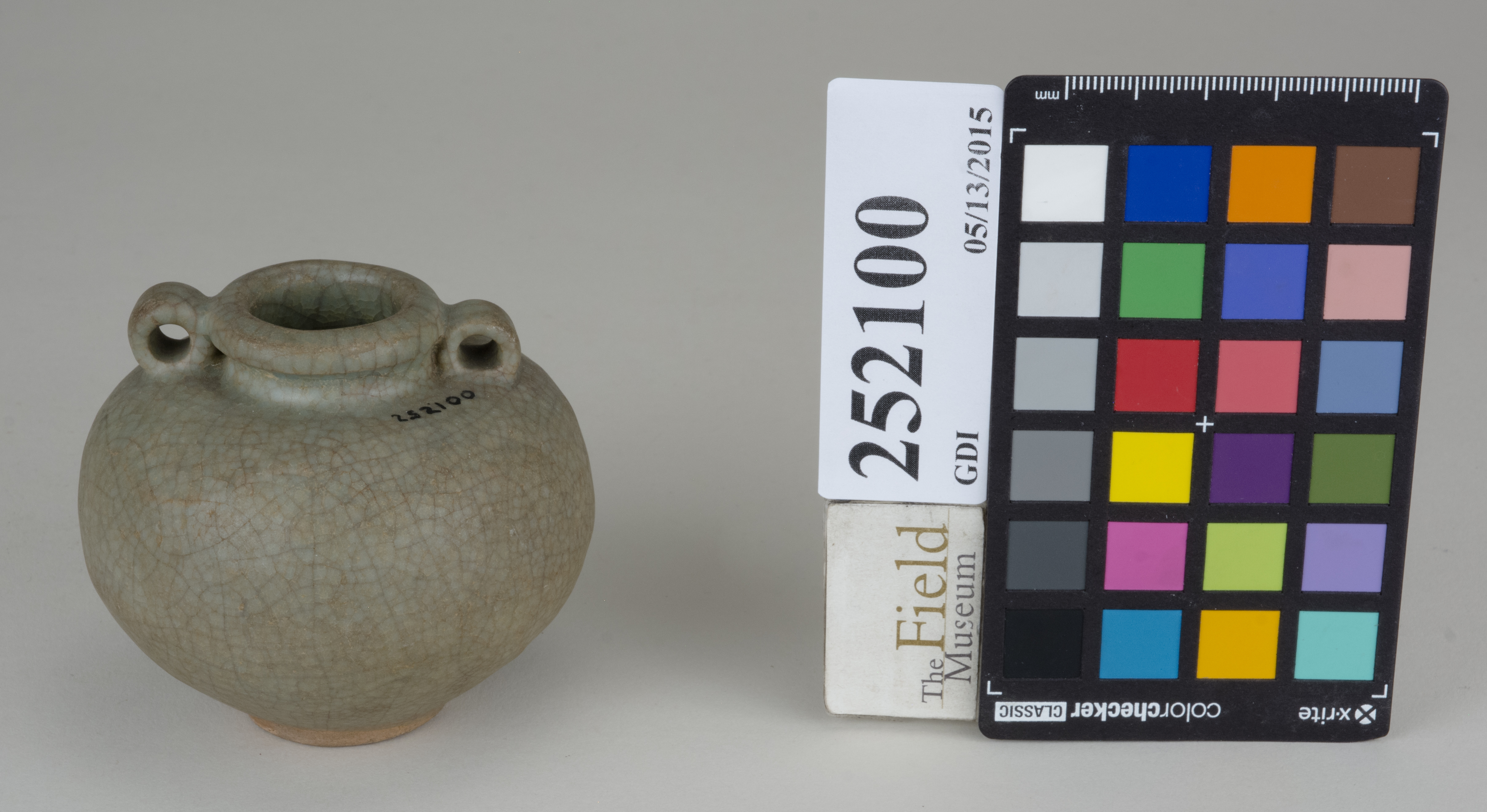 FrontAngle (c) Field Museum of Natural History - CC BY-NC 4.0