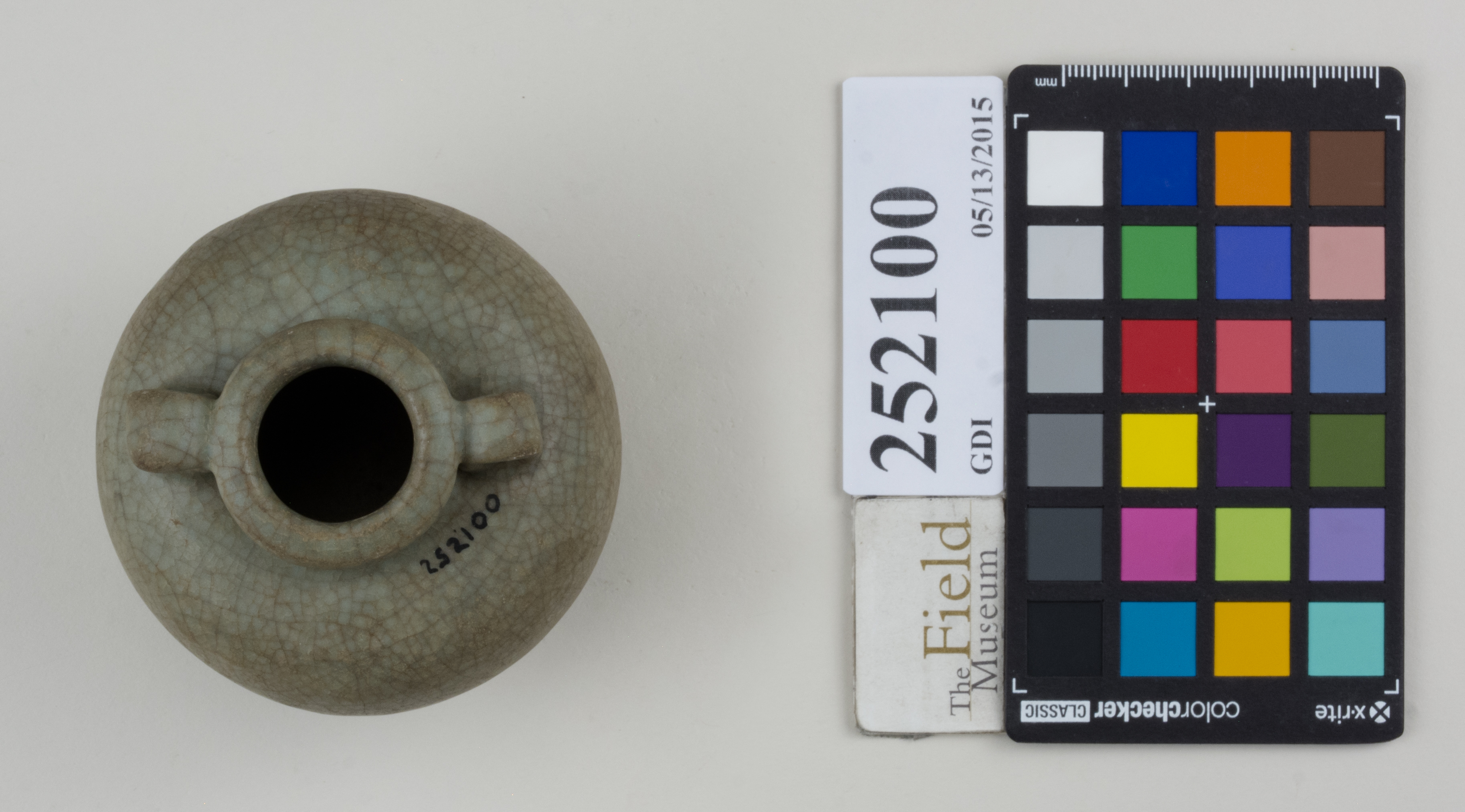 Top (c) Field Museum of Natural History - CC BY-NC 4.0