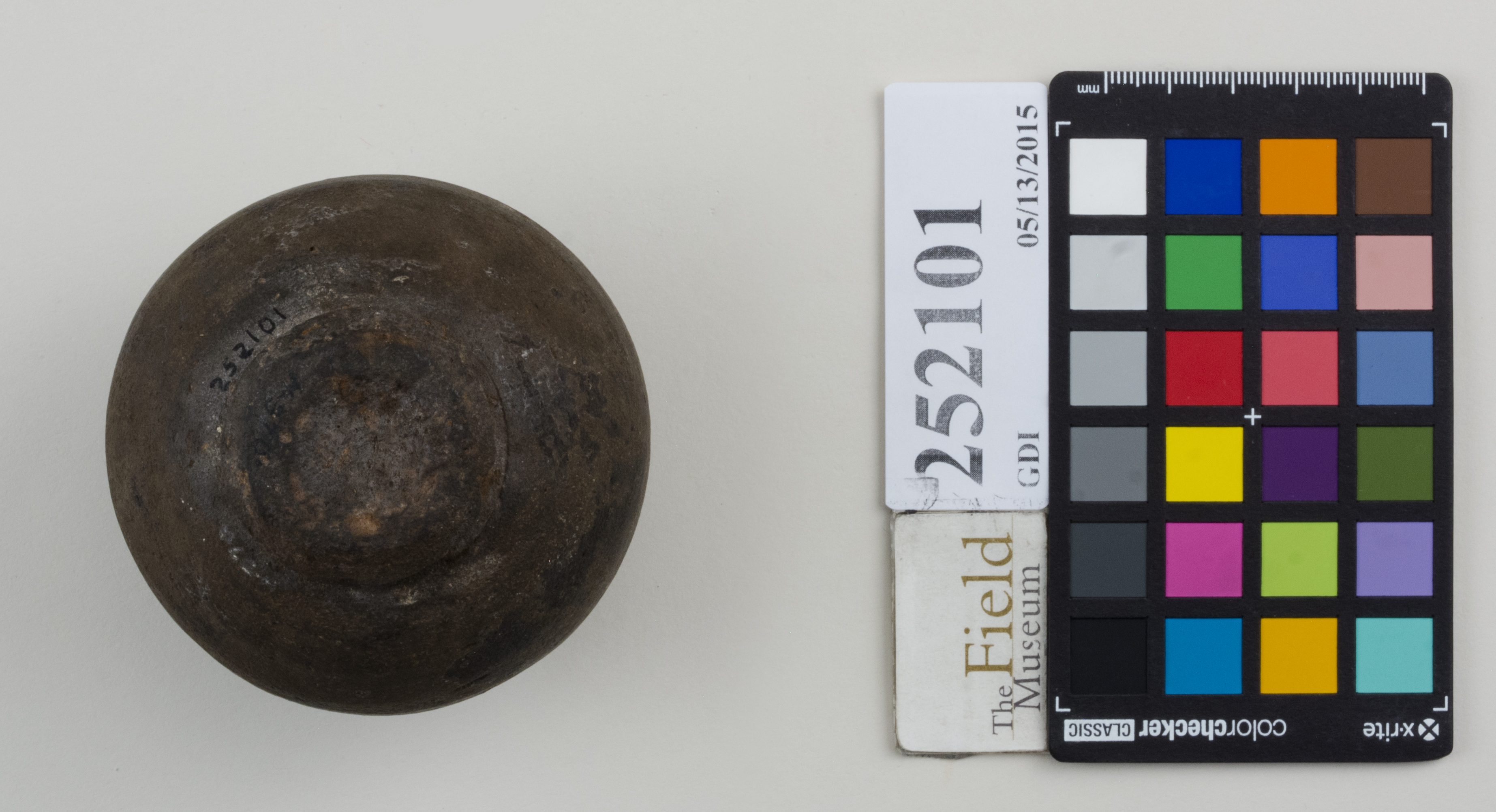 Bottom (c) Field Museum of Natural History - CC BY-NC 4.0