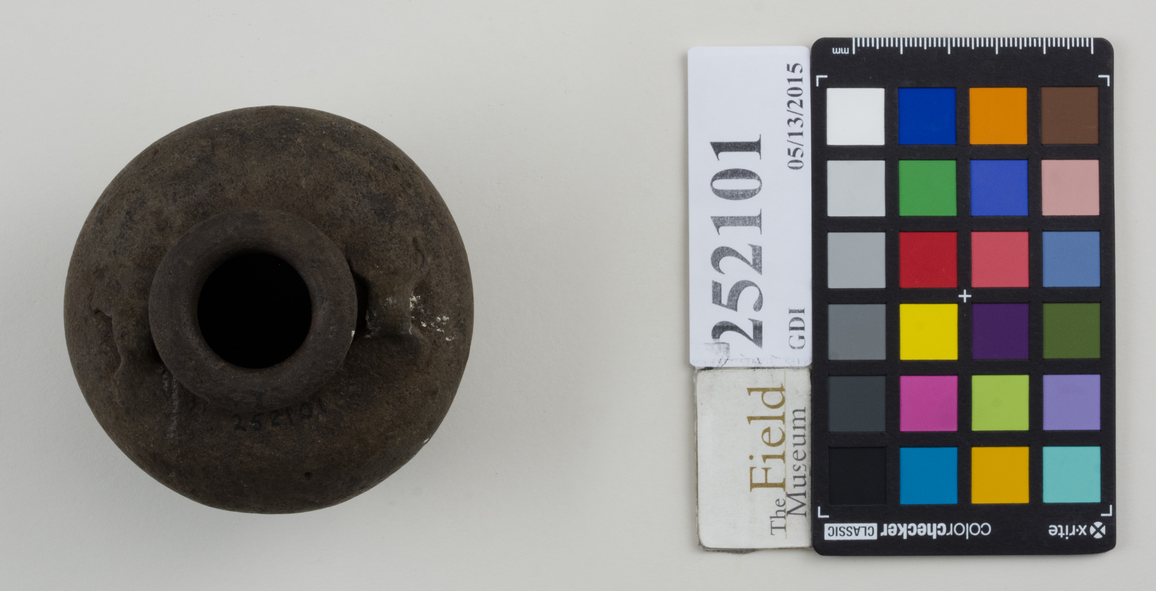 Top (c) Field Museum of Natural History - CC BY-NC 4.0