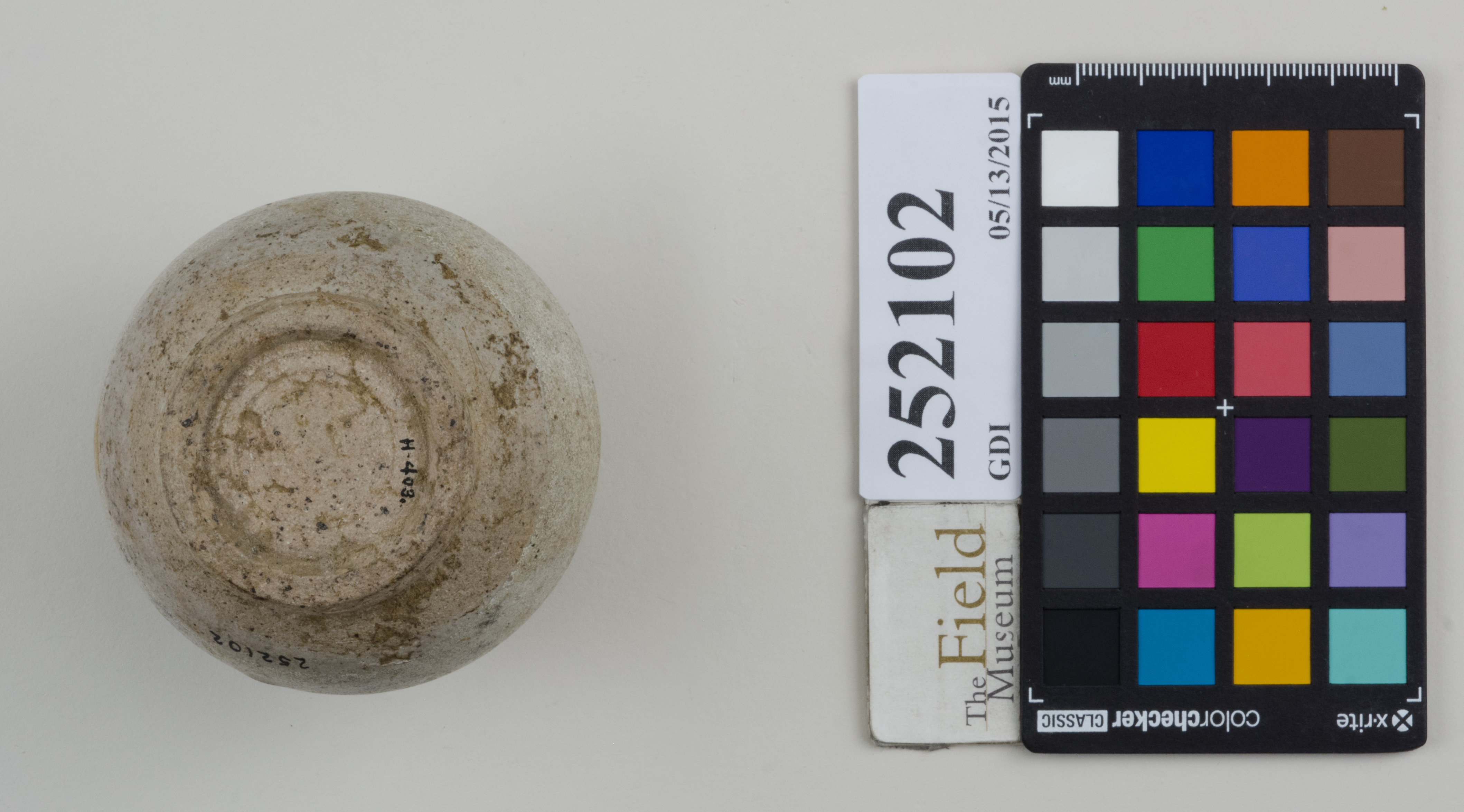 Bottom (c) Field Museum of Natural History - CC BY-NC 4.0