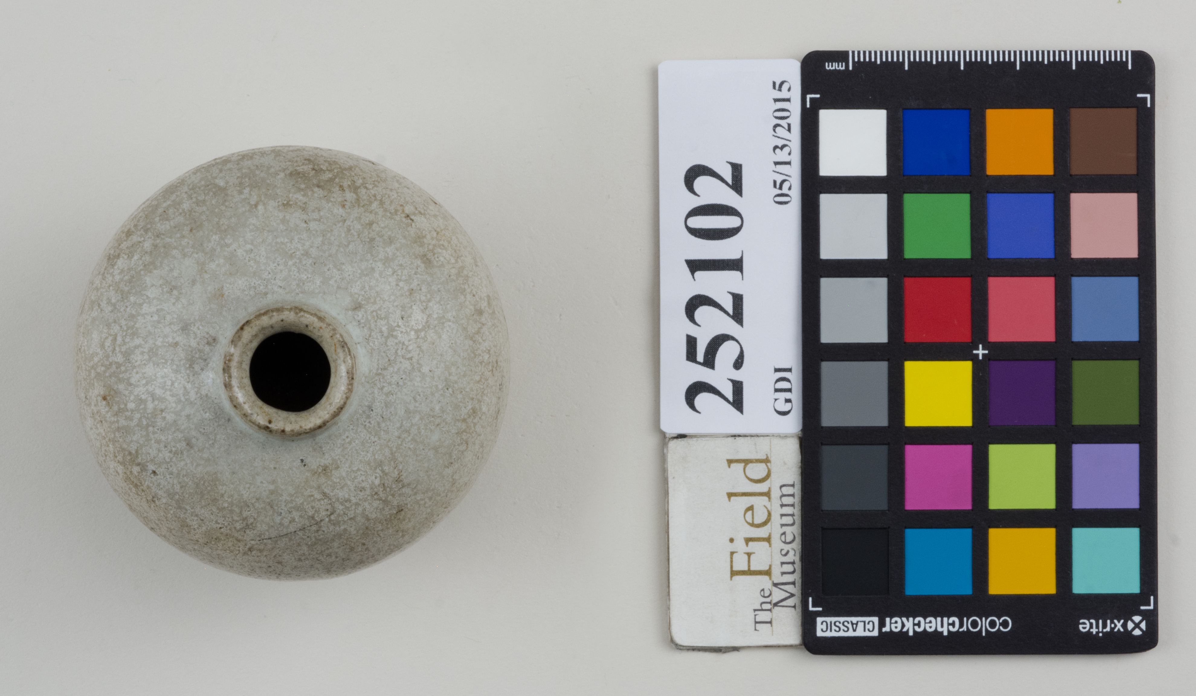 Top (c) Field Museum of Natural History - CC BY-NC 4.0