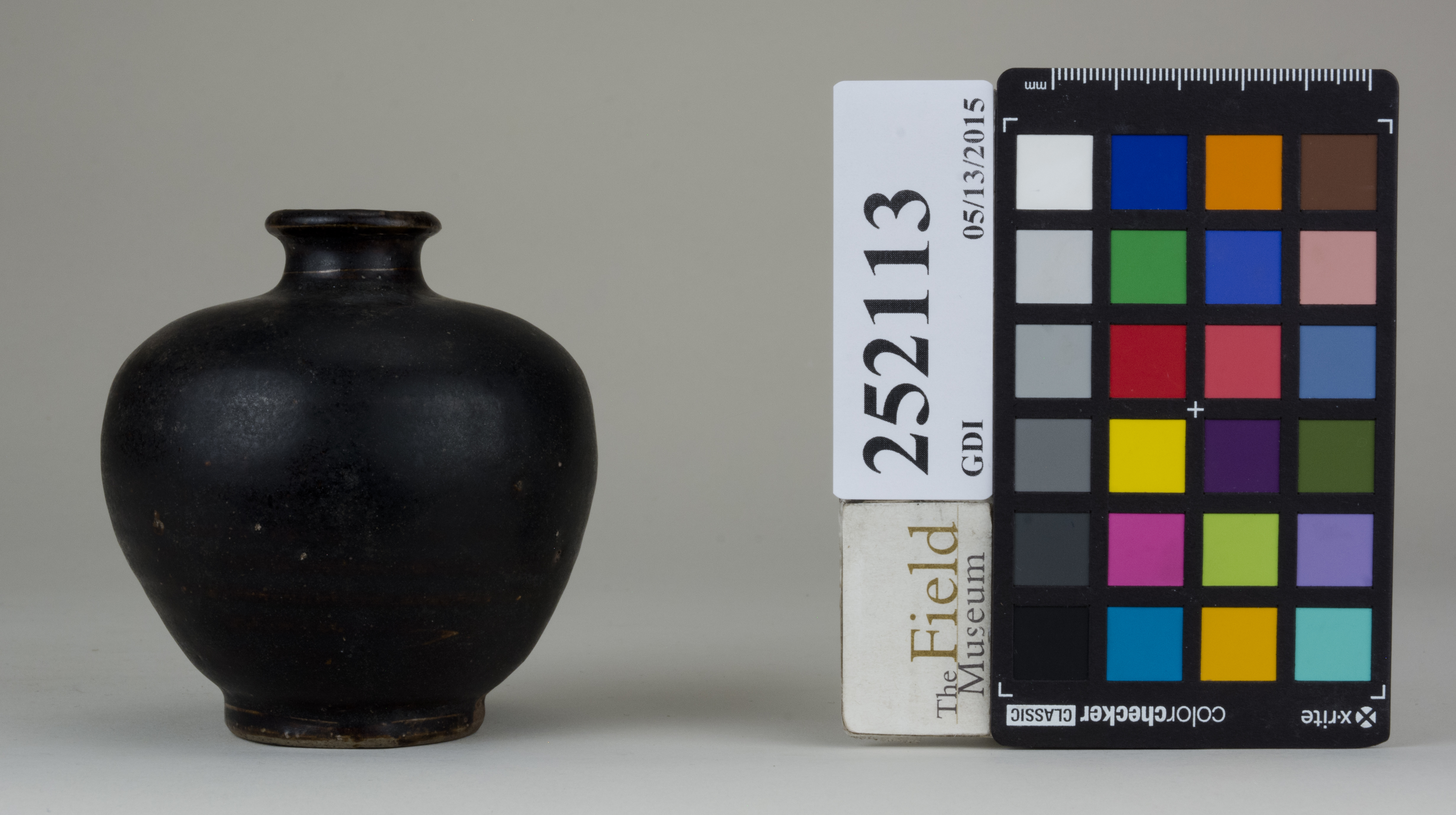 reference image, back (c) Field Museum of Natural History - CC BY-NC 4.0