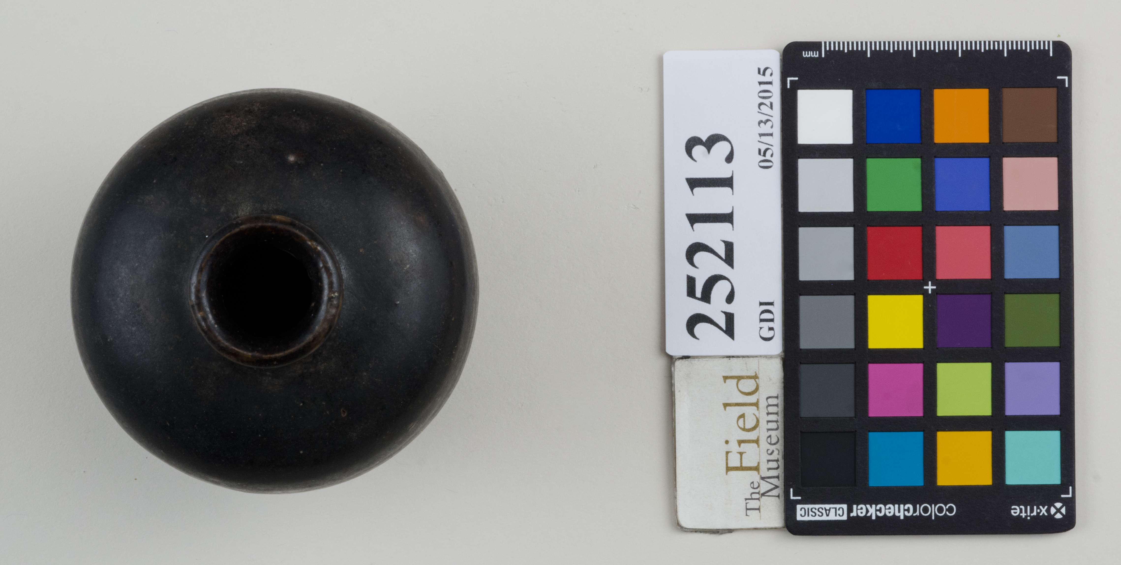 Top (c) Field Museum of Natural History - CC BY-NC 4.0