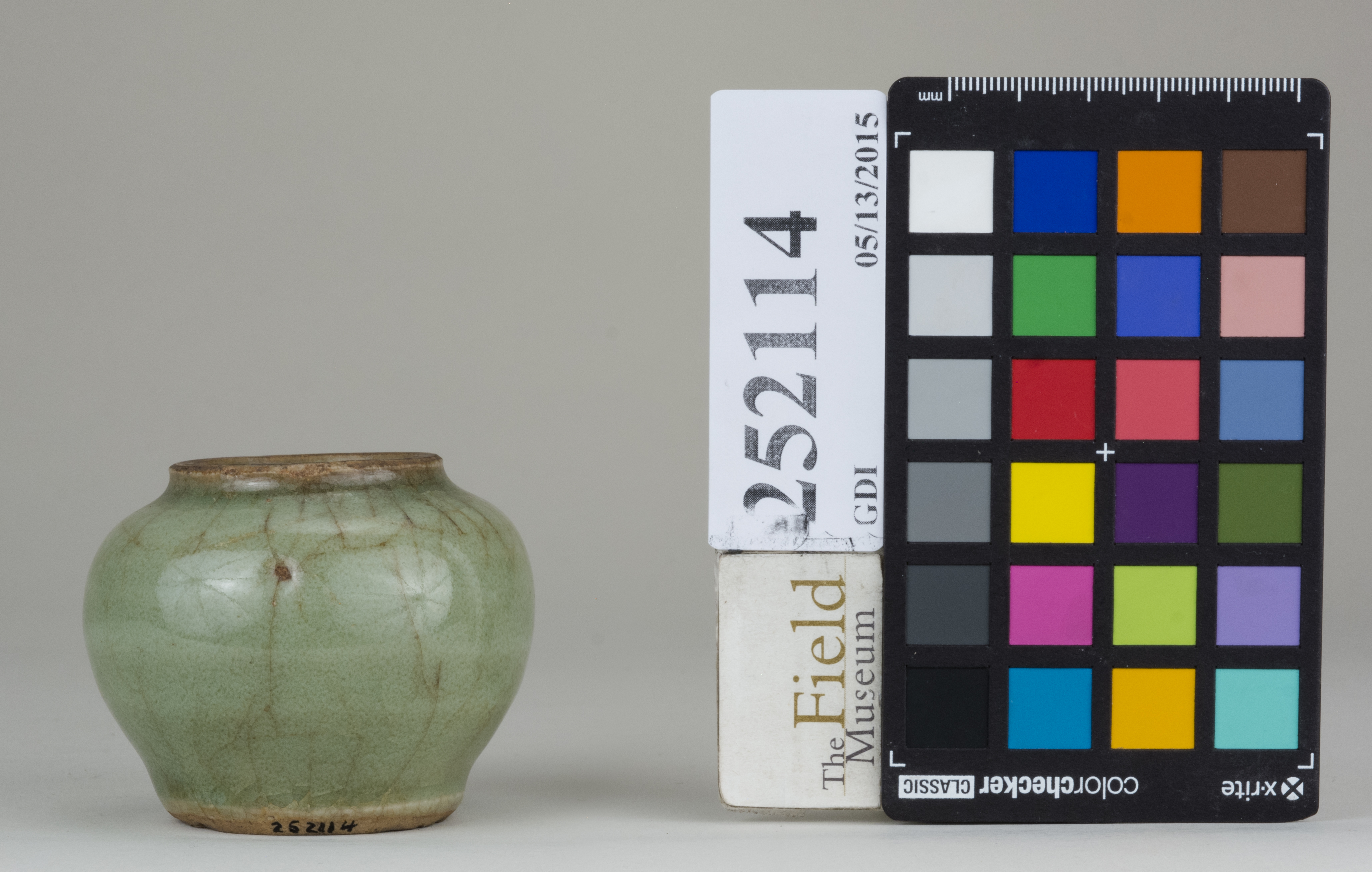 Front (c) Field Museum of Natural History - CC BY-NC 4.0