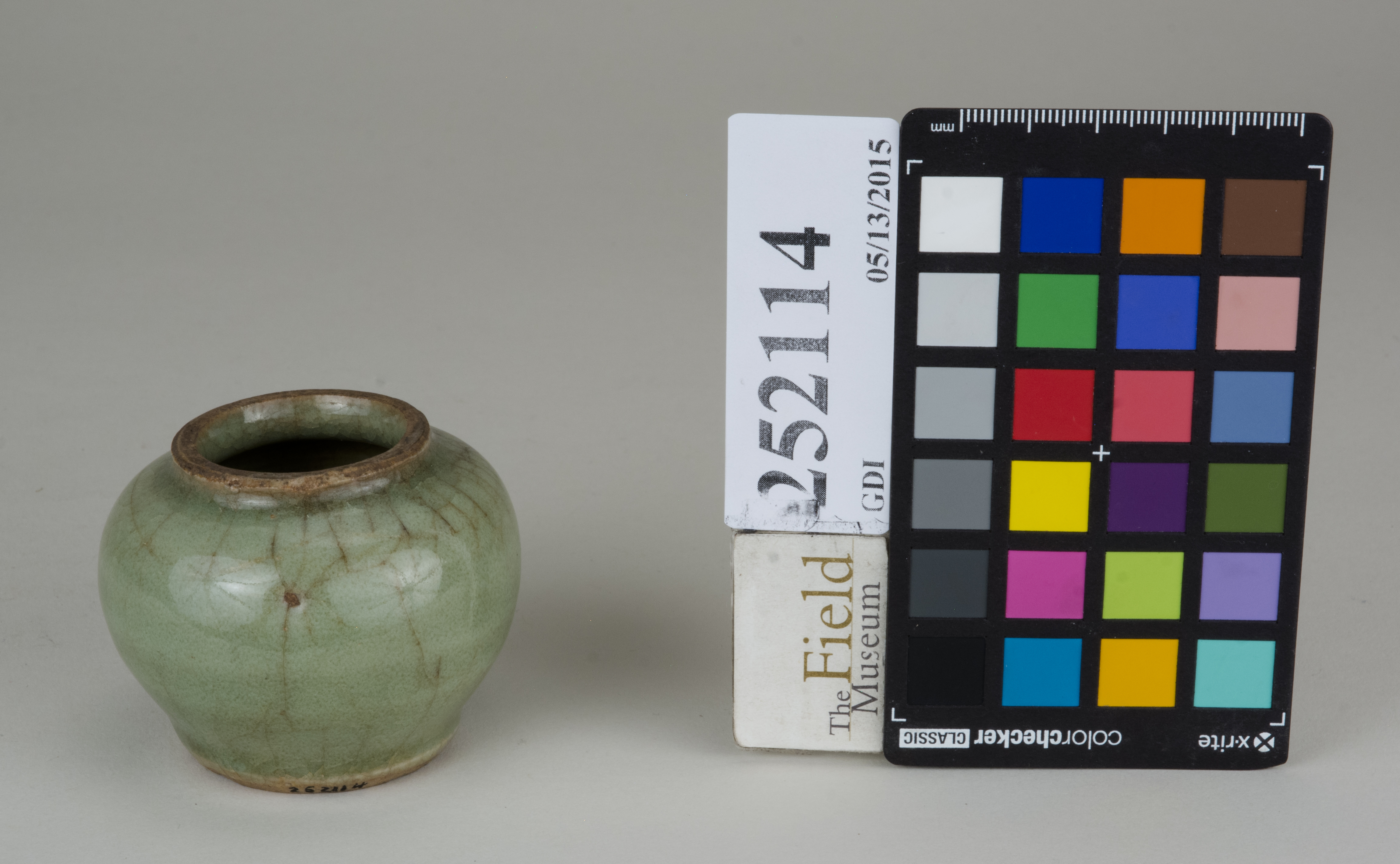 FrontAngle (c) Field Museum of Natural History - CC BY-NC 4.0