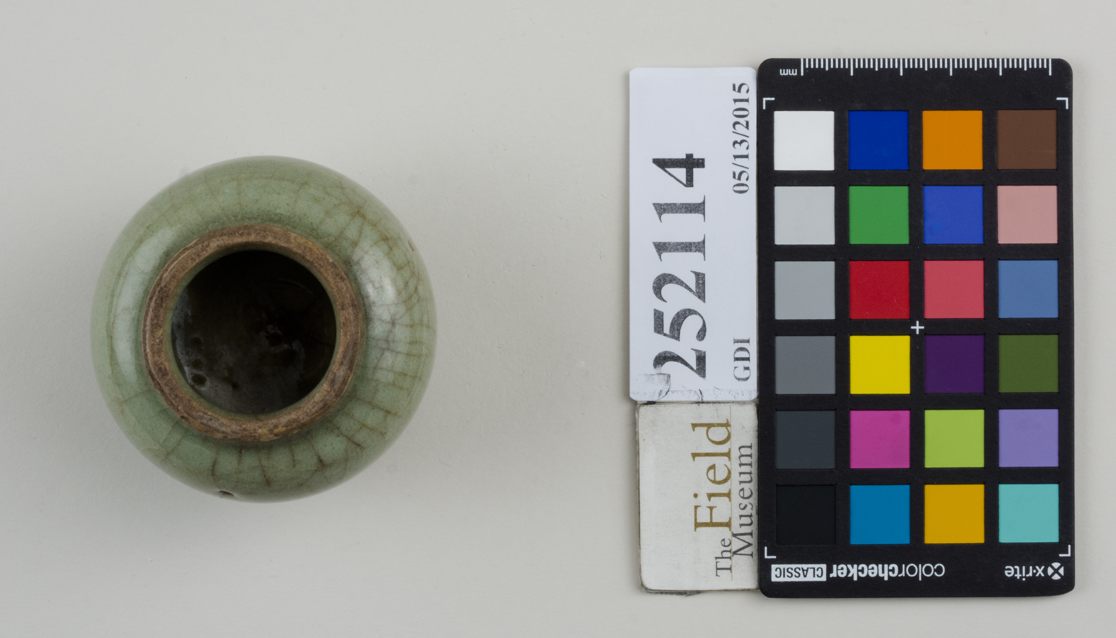 Top (c) Field Museum of Natural History - CC BY-NC 4.0