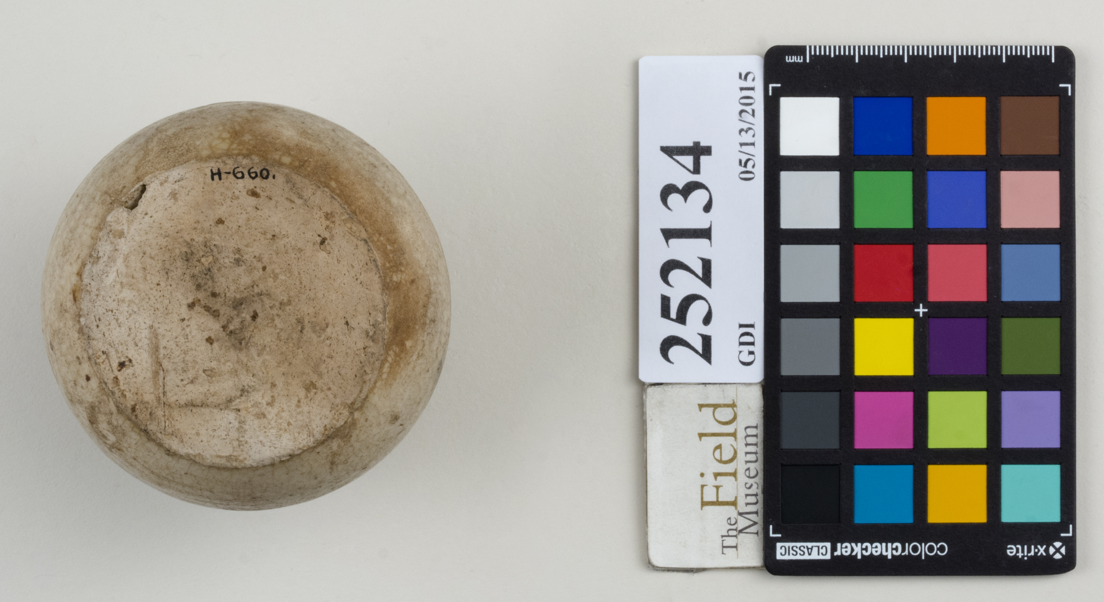 Bottom (c) Field Museum of Natural History - CC BY-NC 4.0