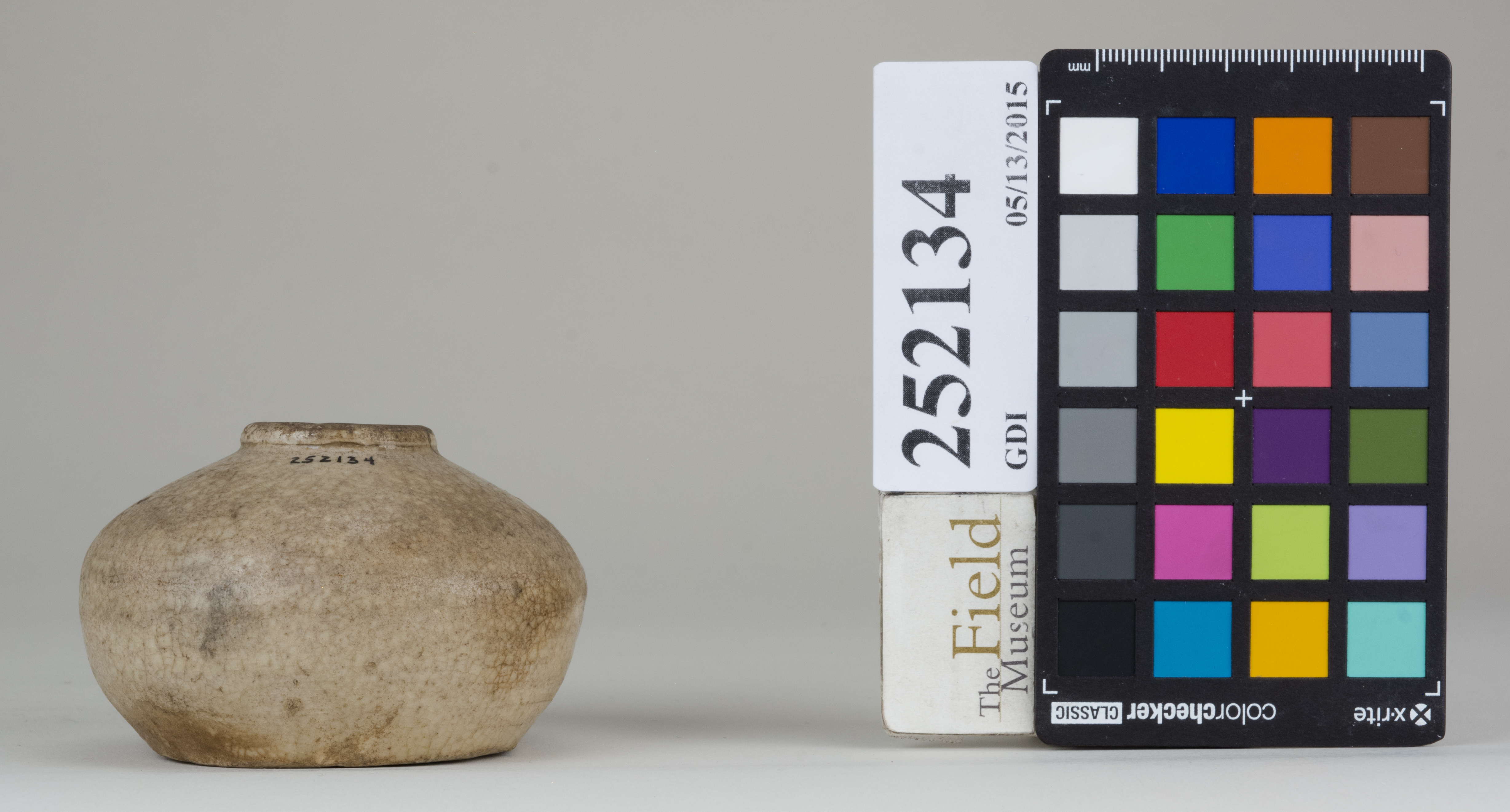 Front (c) Field Museum of Natural History - CC BY-NC 4.0