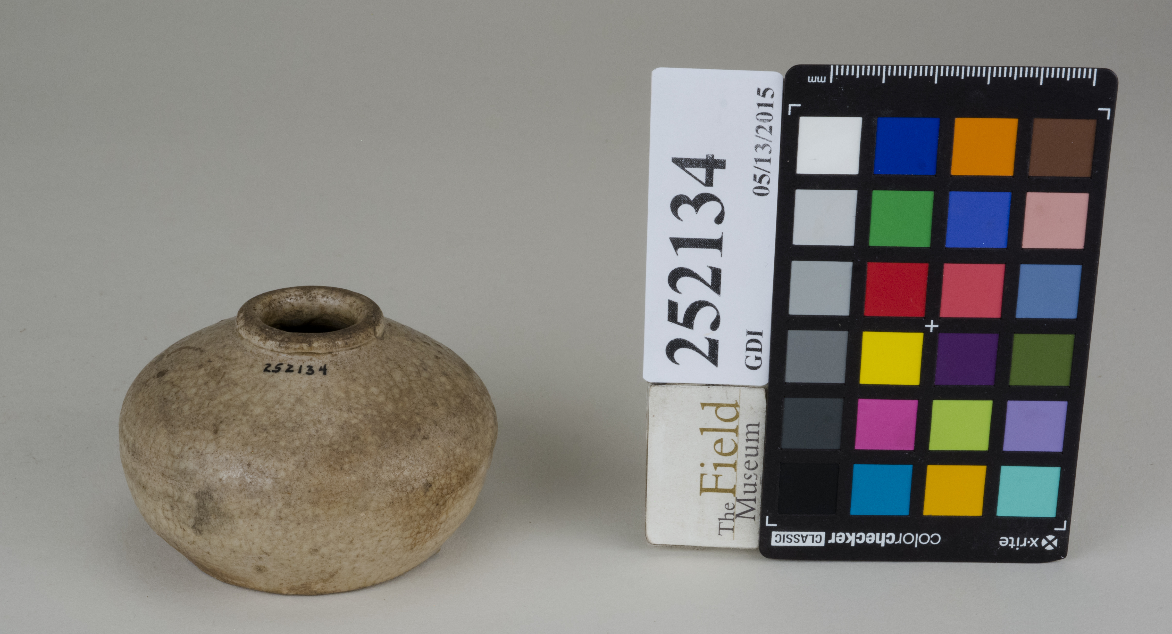 FrontAngle (c) Field Museum of Natural History - CC BY-NC 4.0