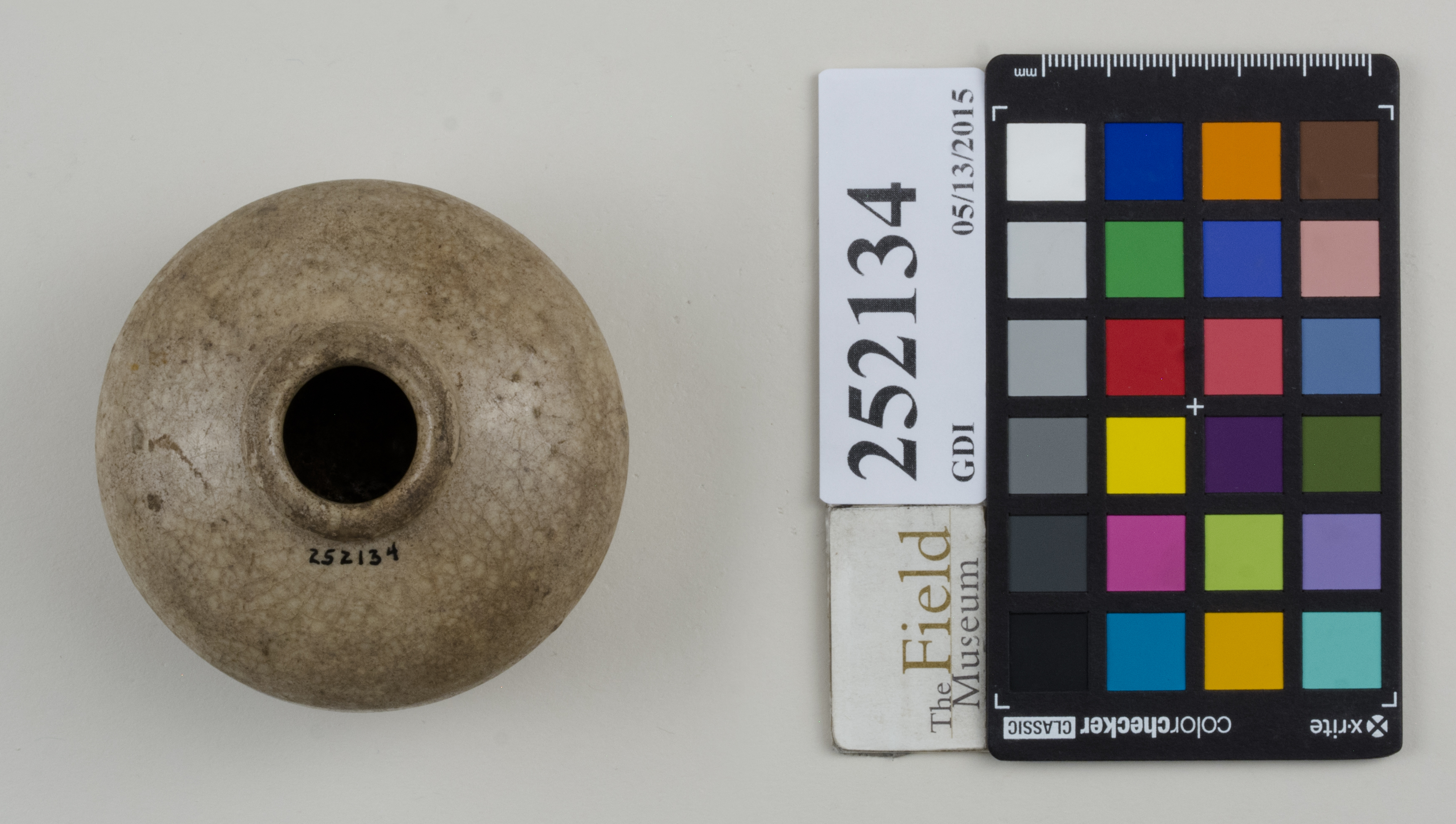 Top (c) Field Museum of Natural History - CC BY-NC 4.0