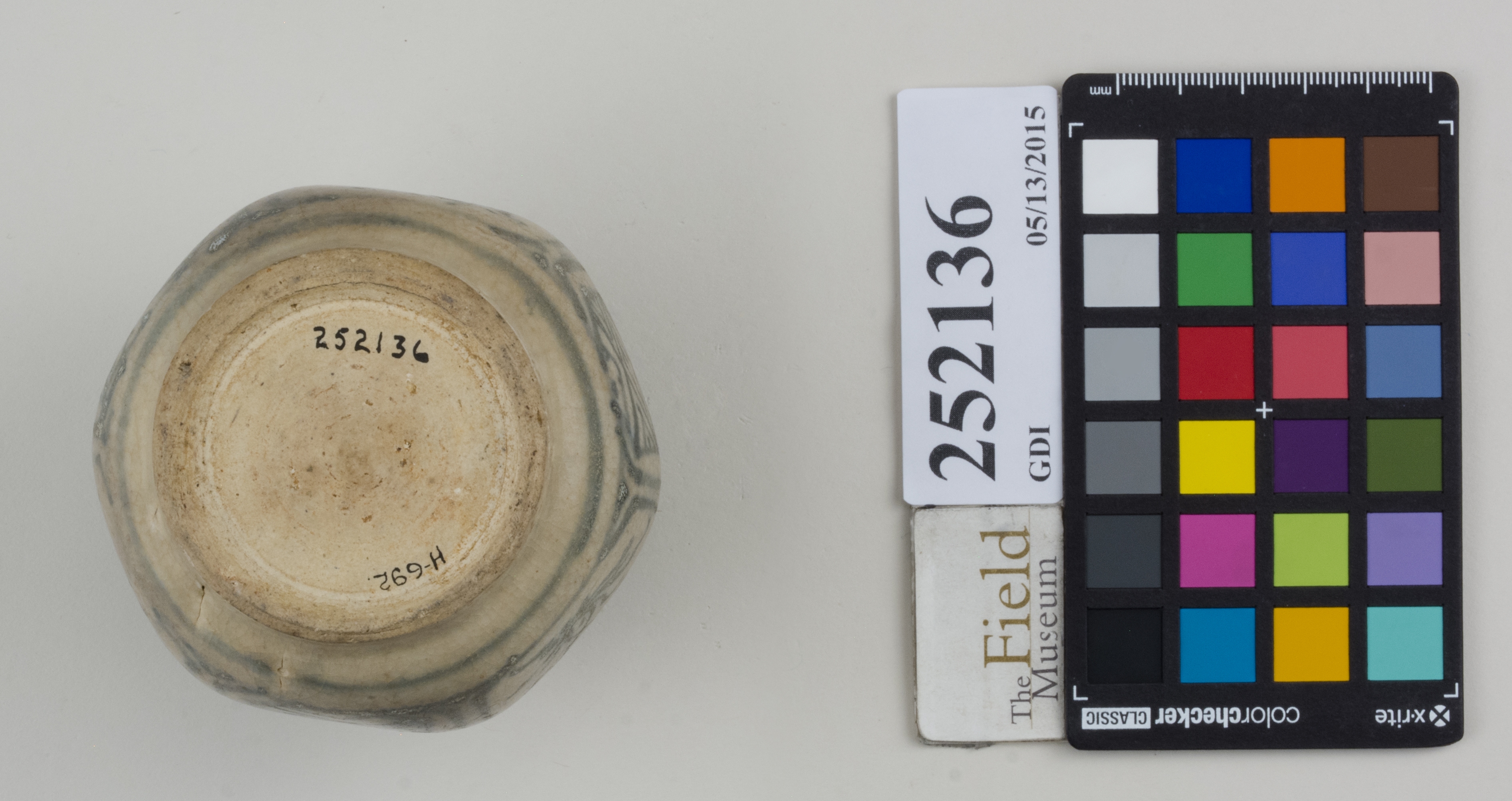 Bottom (c) Field Museum of Natural History - CC BY-NC 4.0