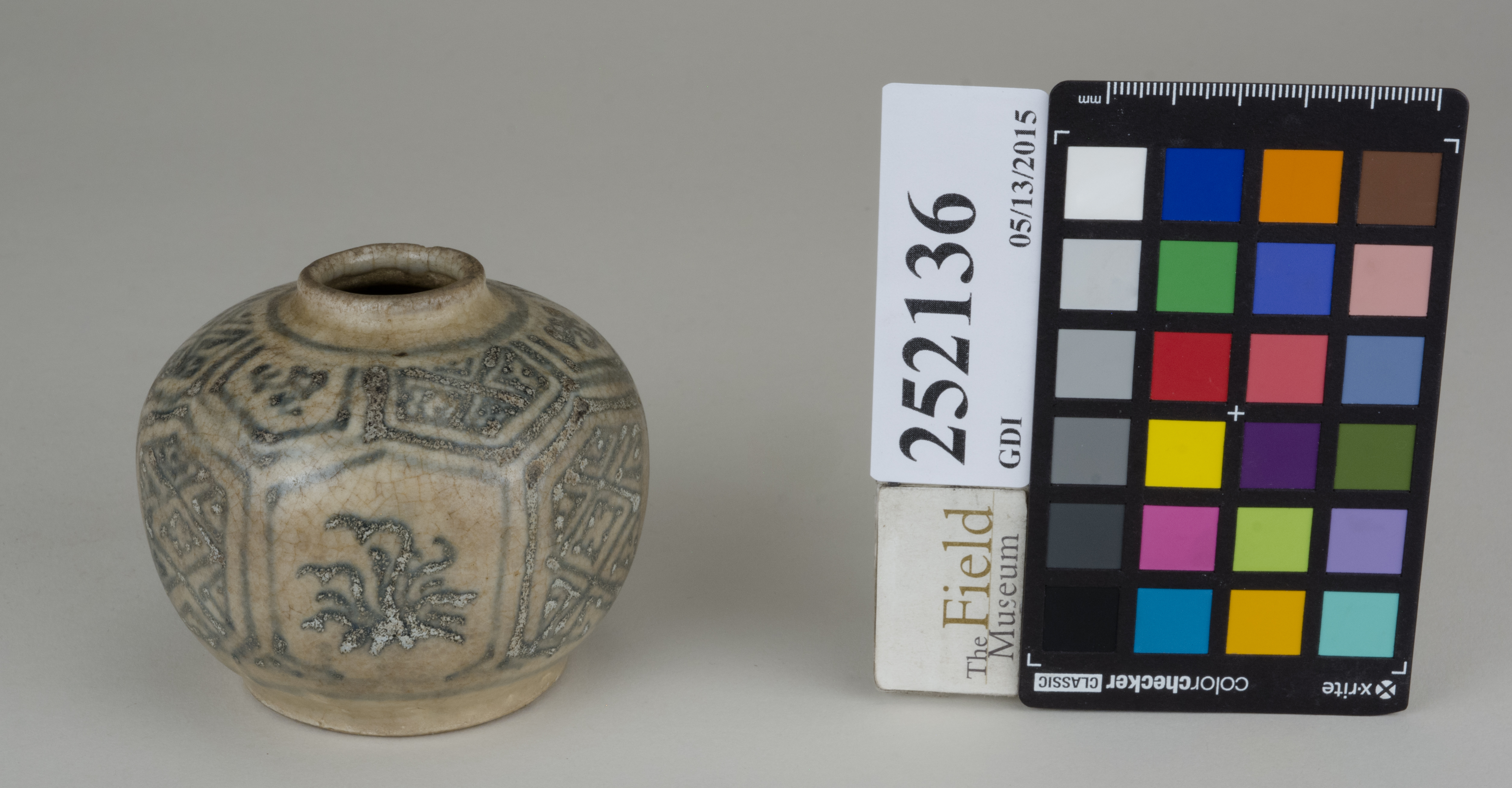 FrontAngle (c) Field Museum of Natural History - CC BY-NC 4.0