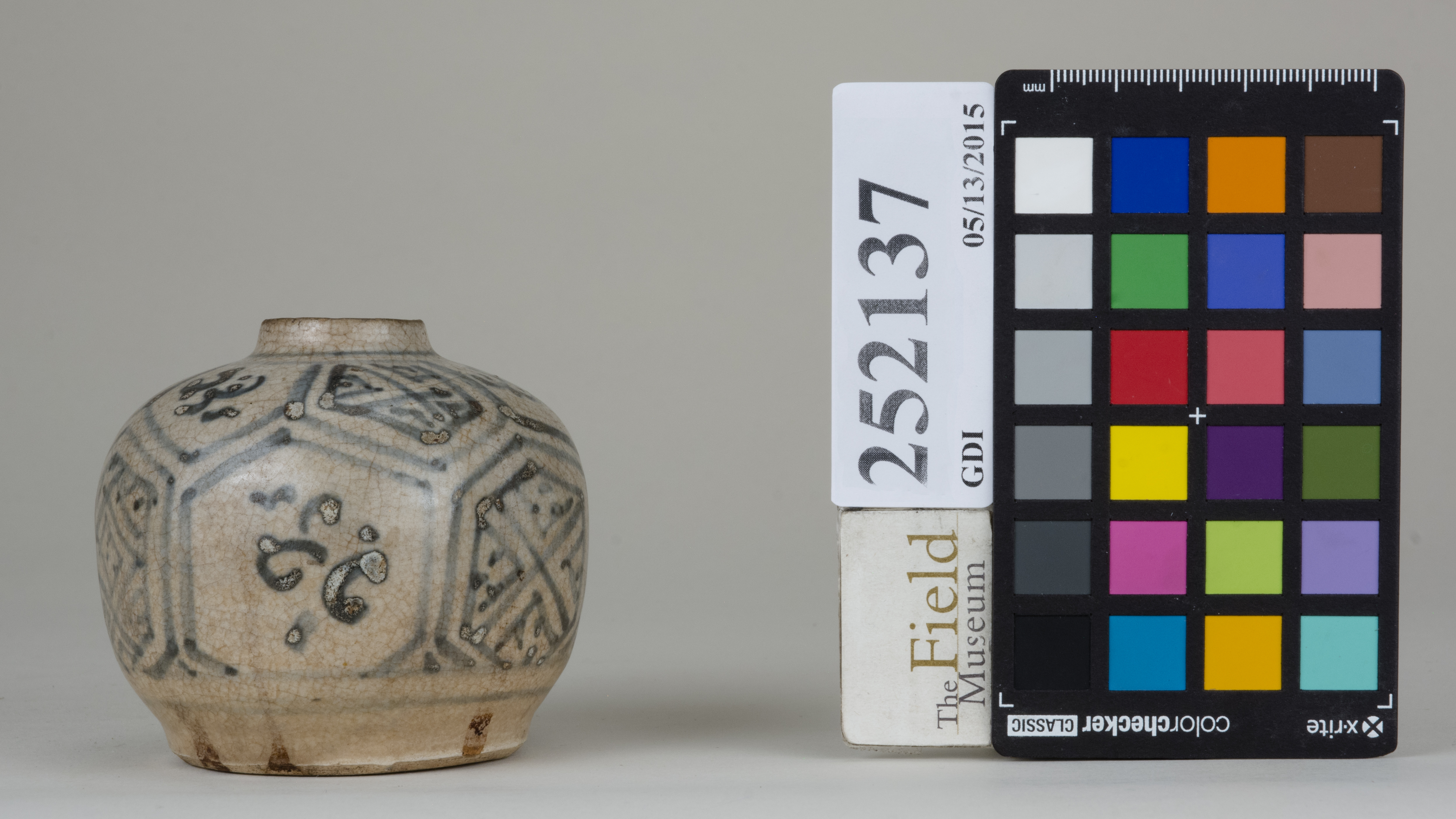 reference image, back (c) Field Museum of Natural History - CC BY-NC 4.0