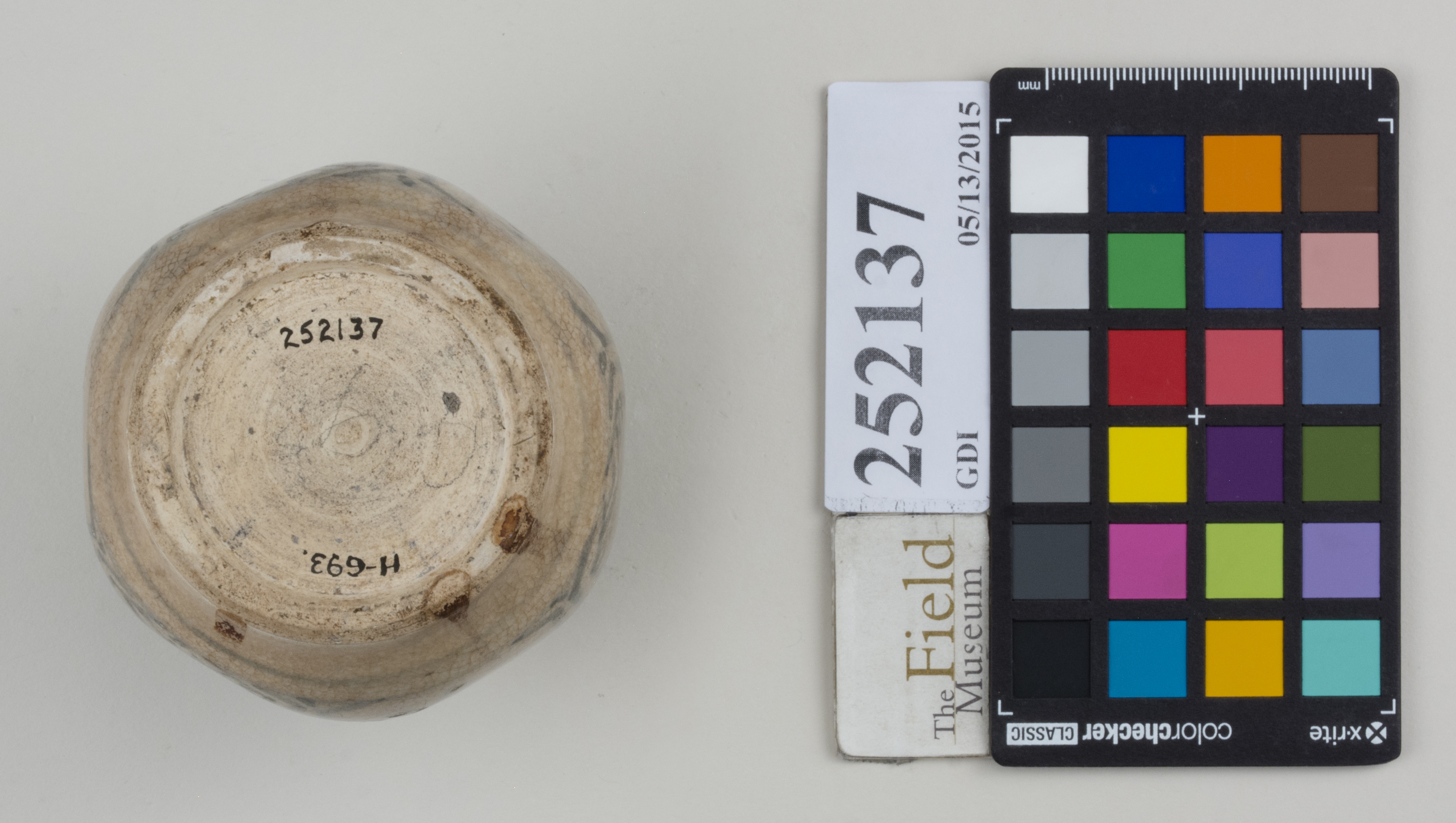 Bottom (c) Field Museum of Natural History - CC BY-NC 4.0