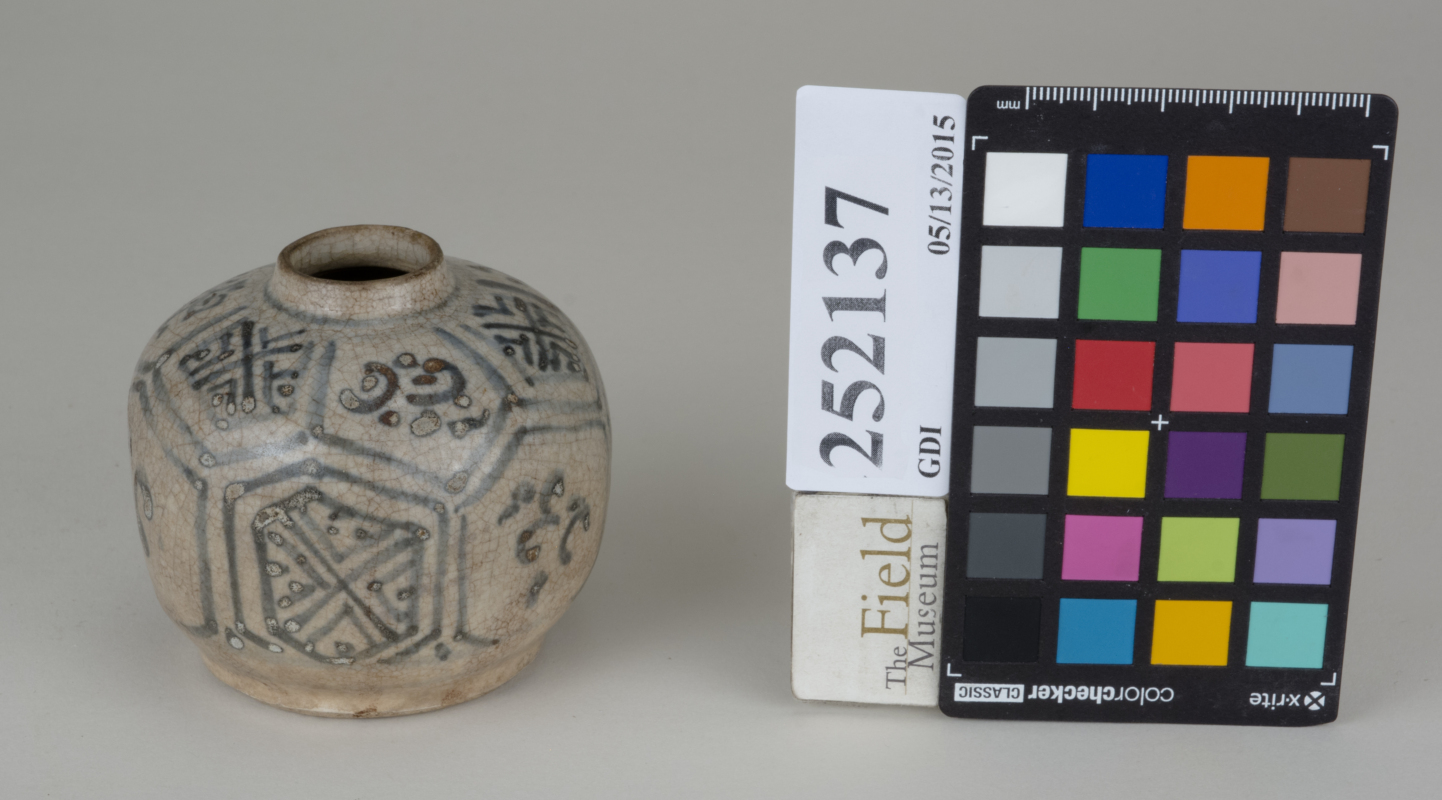 FrontAngle (c) Field Museum of Natural History - CC BY-NC 4.0