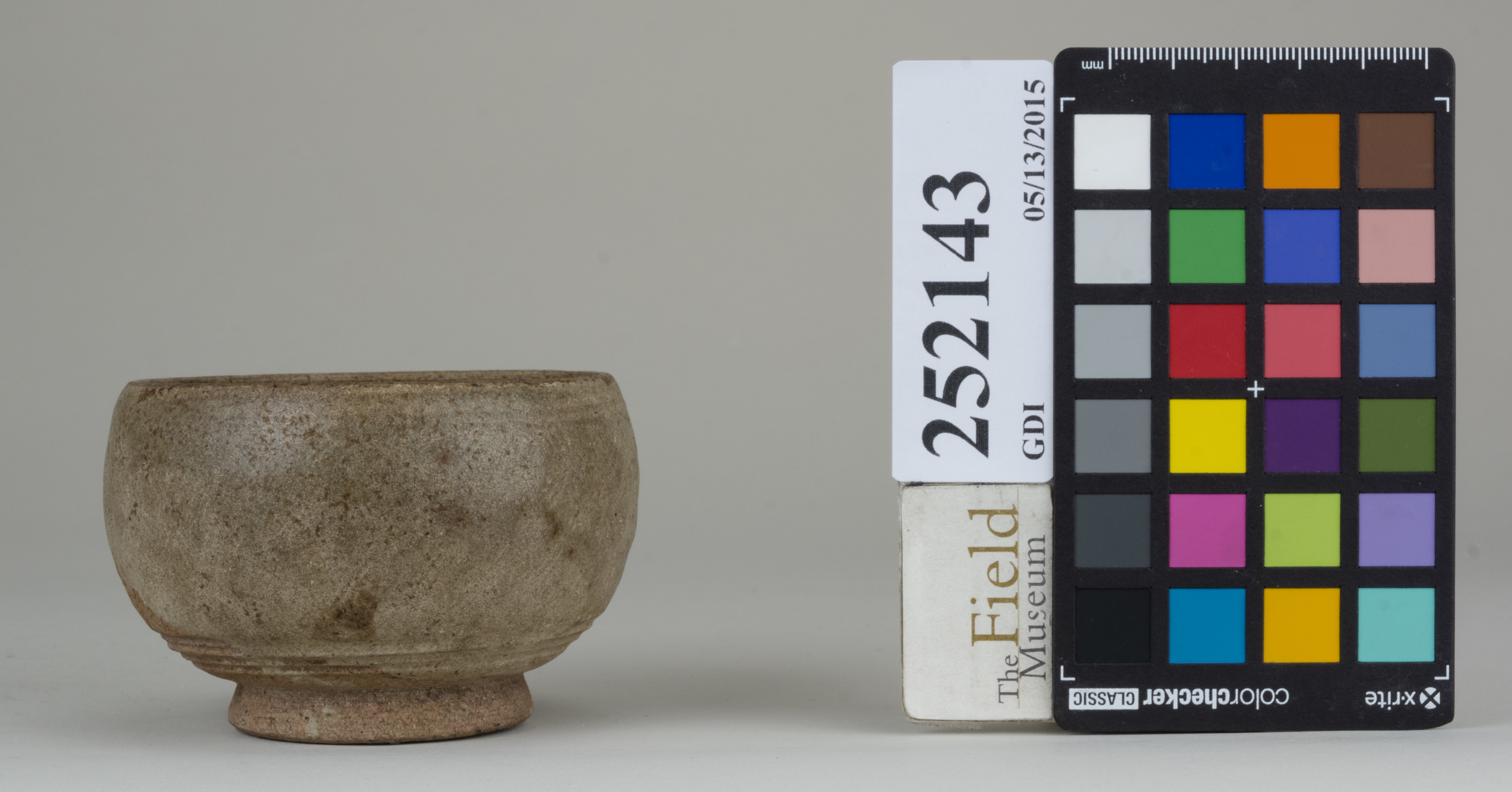 reference image, back (c) Field Museum of Natural History - CC BY-NC 4.0