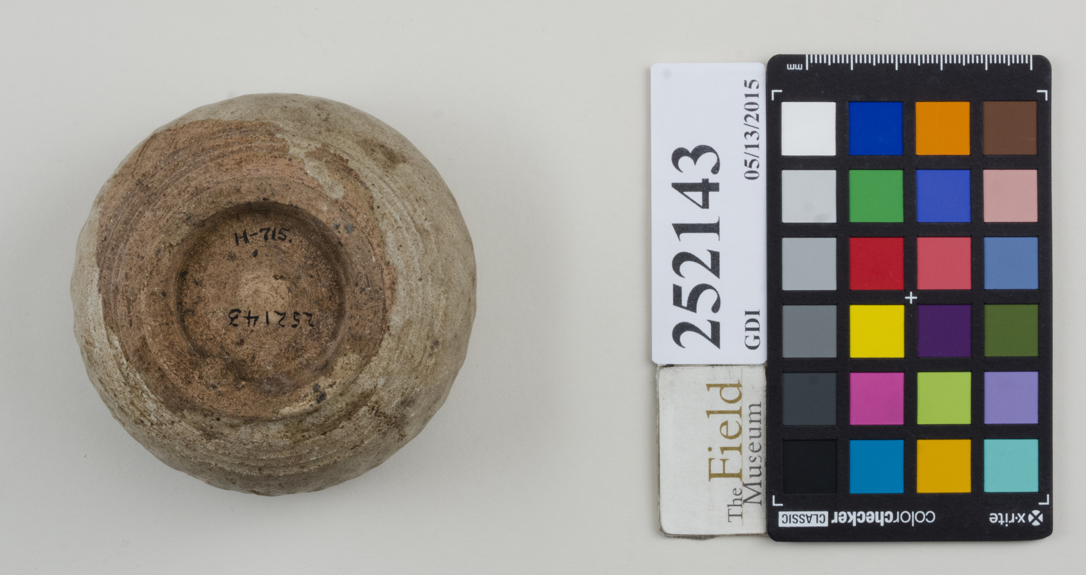 Bottom (c) Field Museum of Natural History - CC BY-NC 4.0