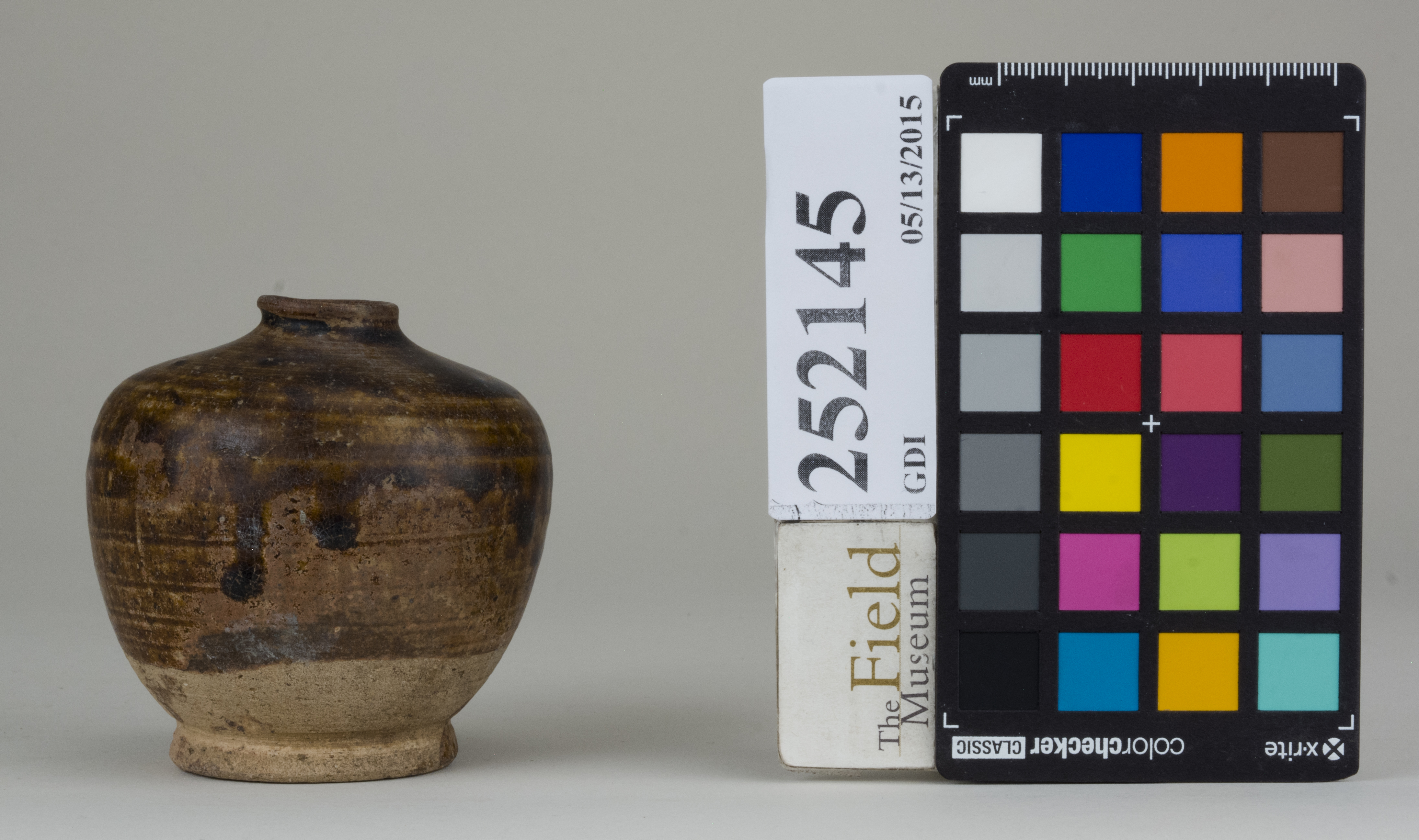 reference image, back (c) Field Museum of Natural History - CC BY-NC 4.0