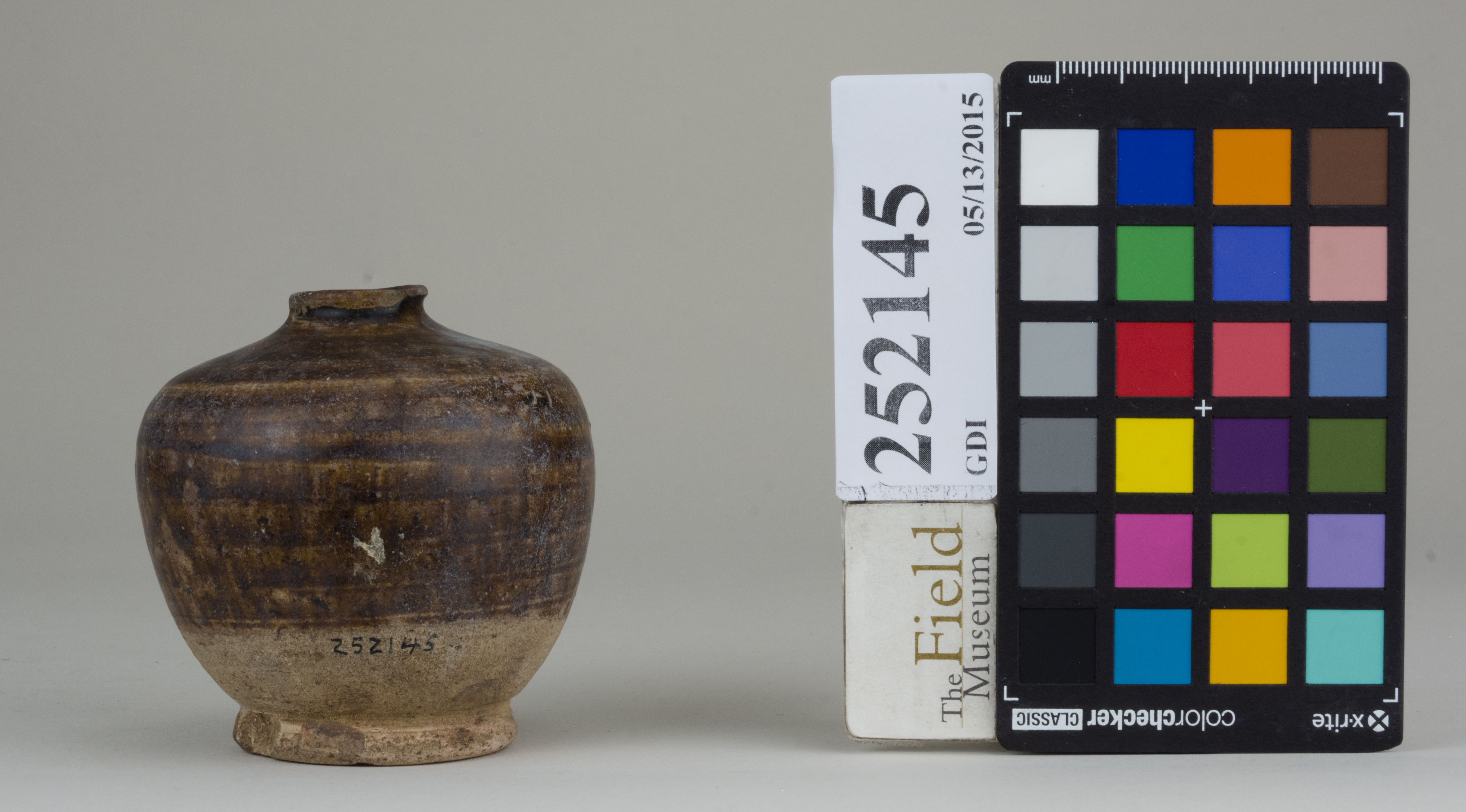 Front (c) Field Museum of Natural History - CC BY-NC 4.0