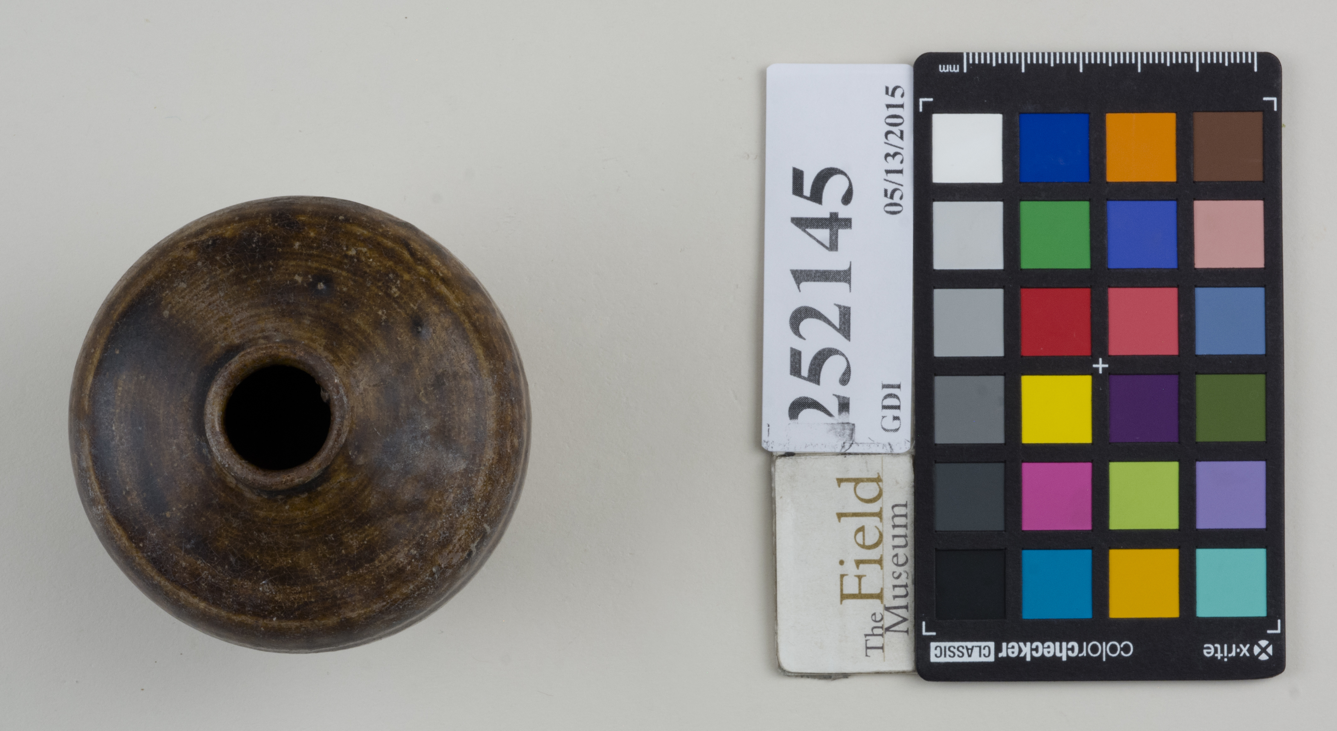 Top (c) Field Museum of Natural History - CC BY-NC 4.0