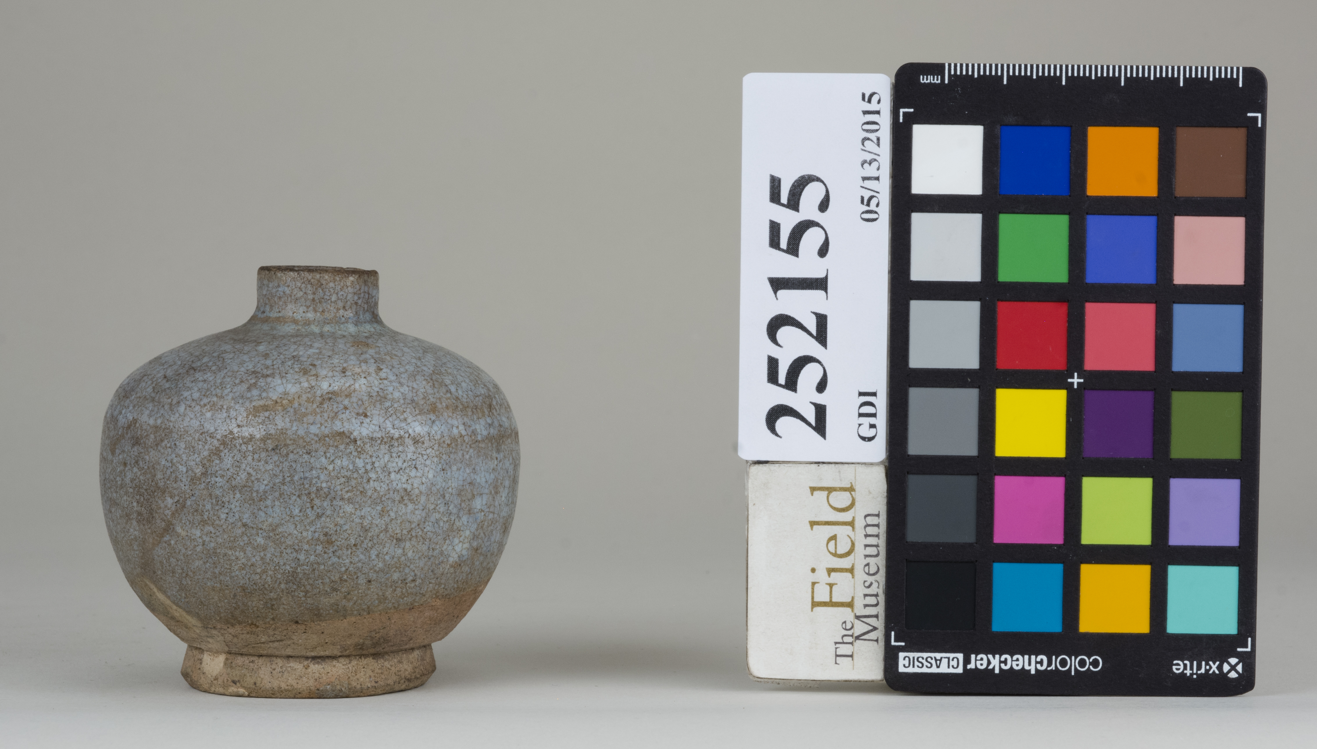 reference image, back (c) Field Museum of Natural History - CC BY-NC 4.0