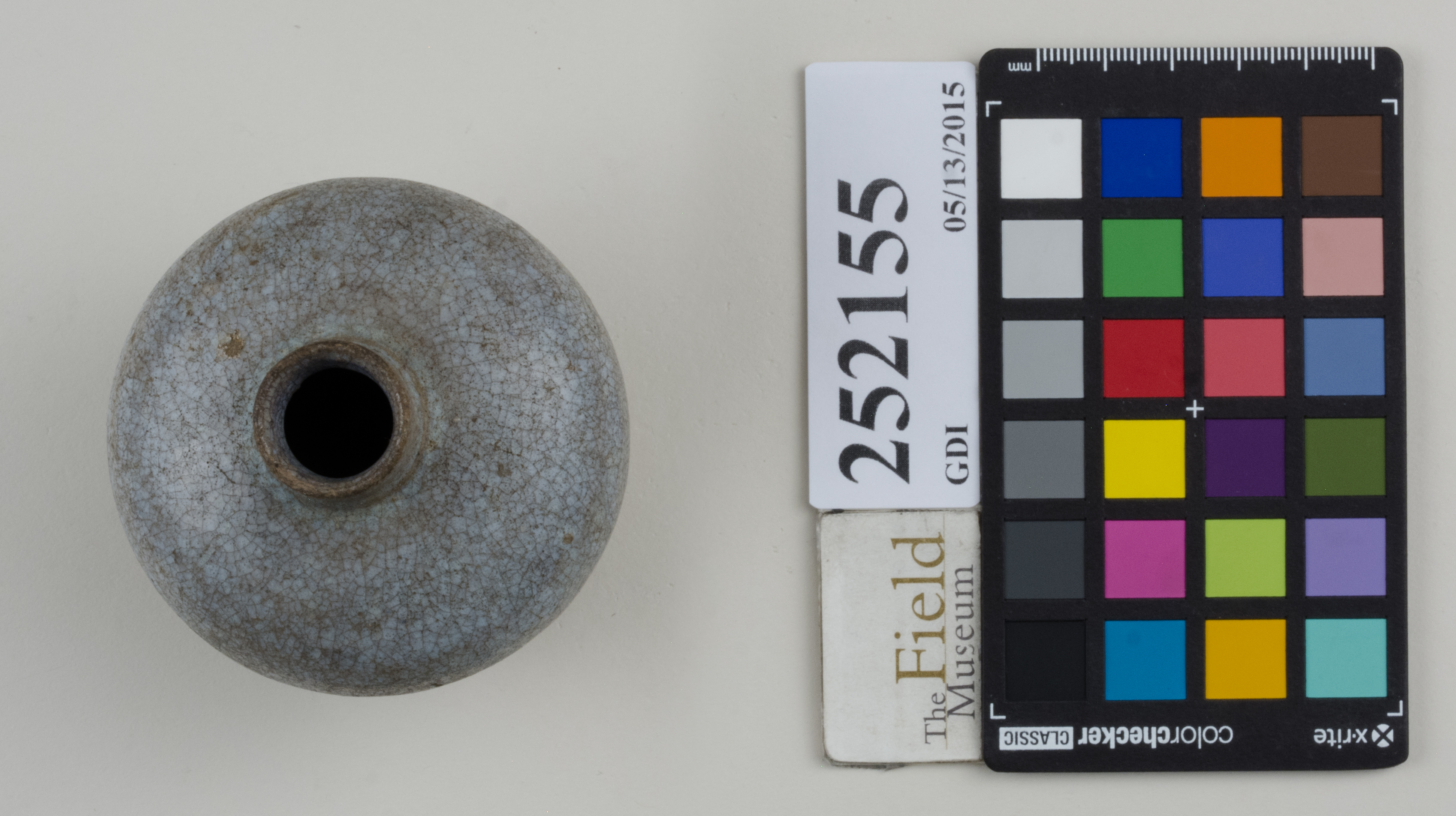 Top (c) Field Museum of Natural History - CC BY-NC 4.0