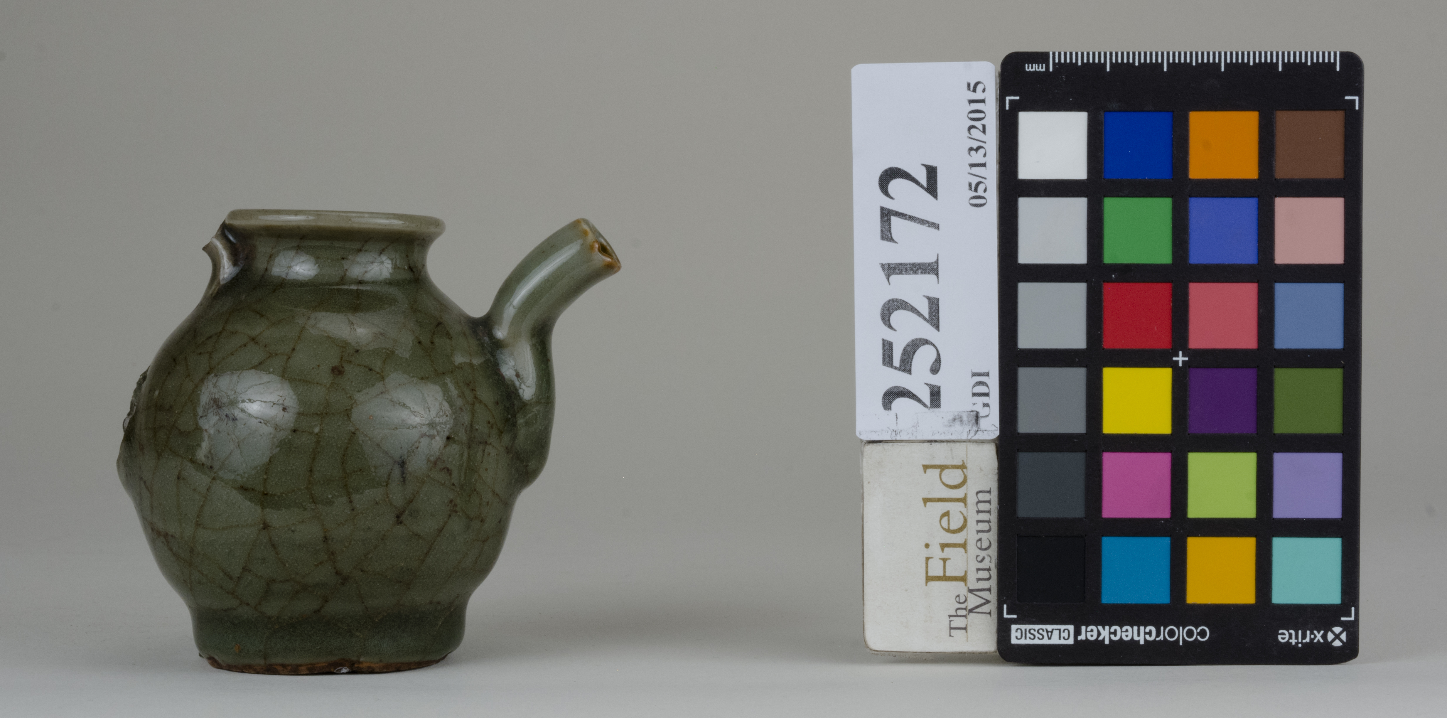 reference image, back (c) Field Museum of Natural History - CC BY-NC 4.0