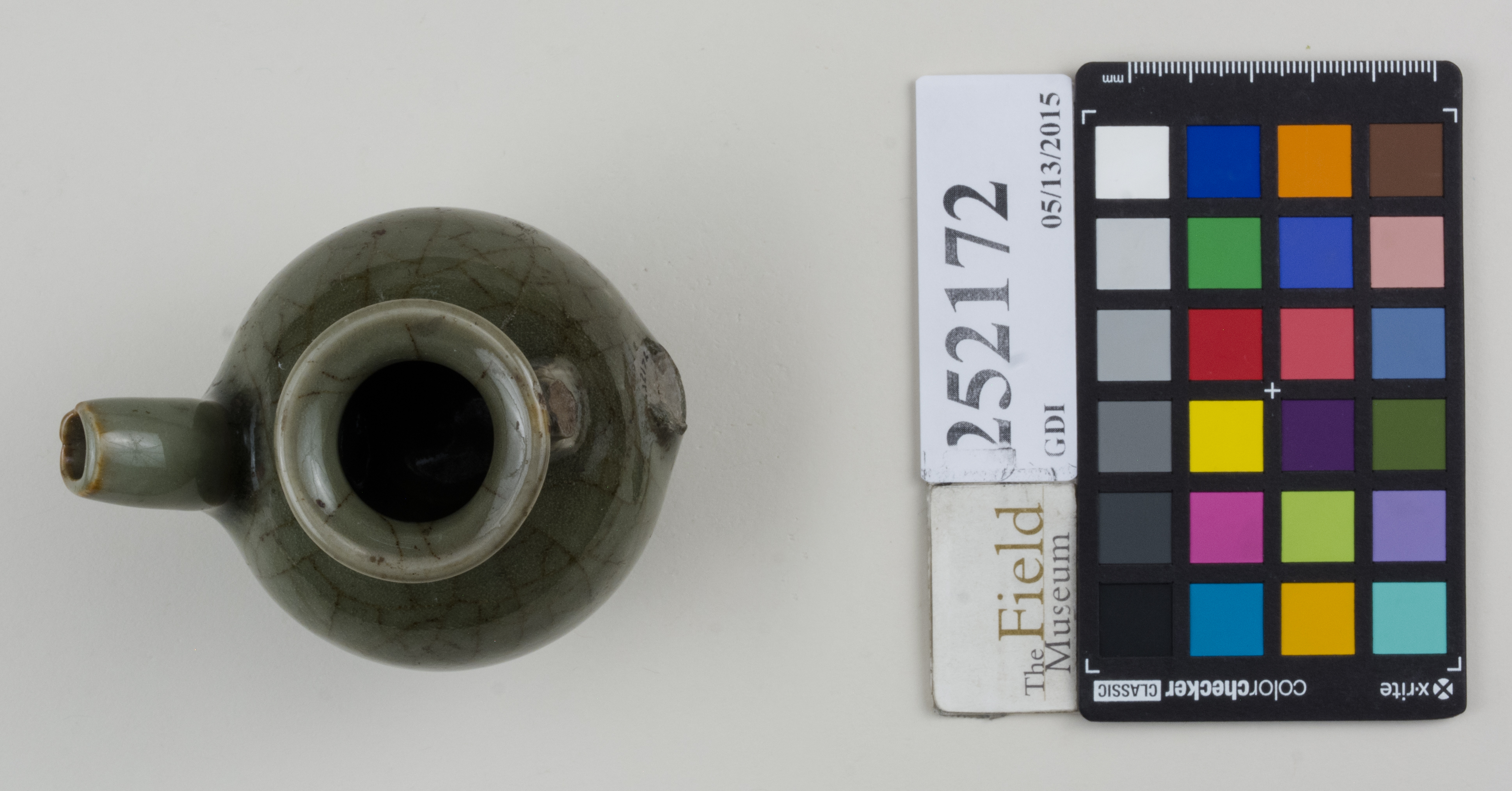 Top (c) Field Museum of Natural History - CC BY-NC 4.0