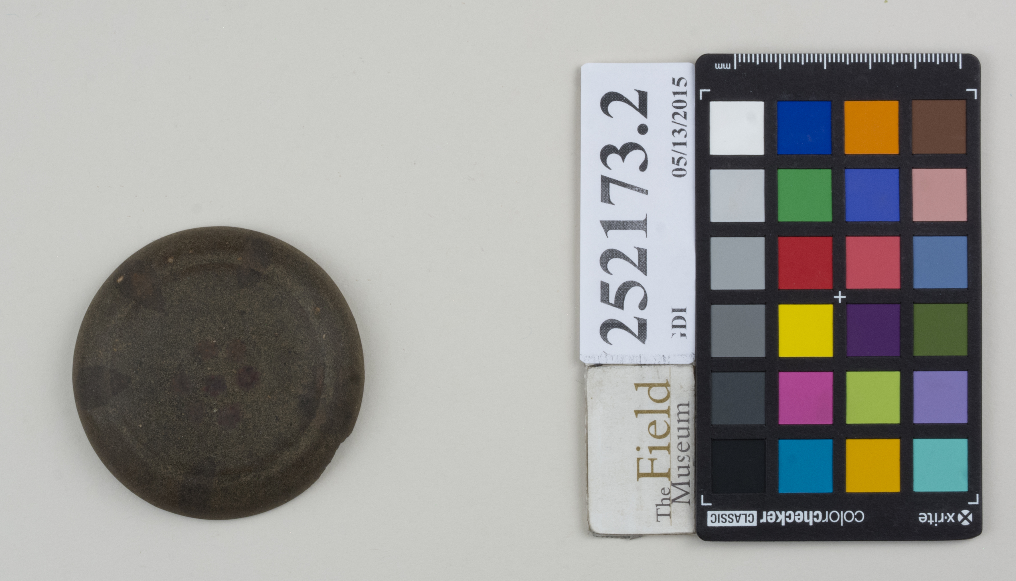 Top (c) Field Museum of Natural History - CC BY-NC 4.0