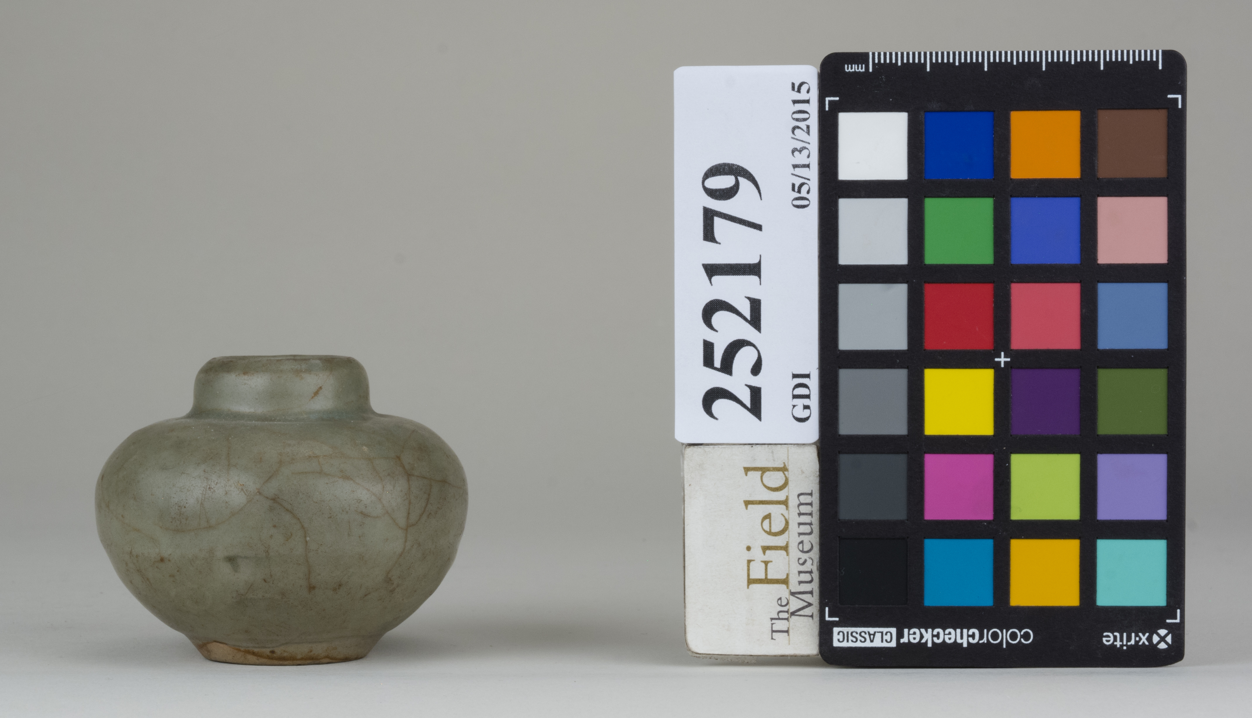 reference image, back (c) Field Museum of Natural History - CC BY-NC 4.0