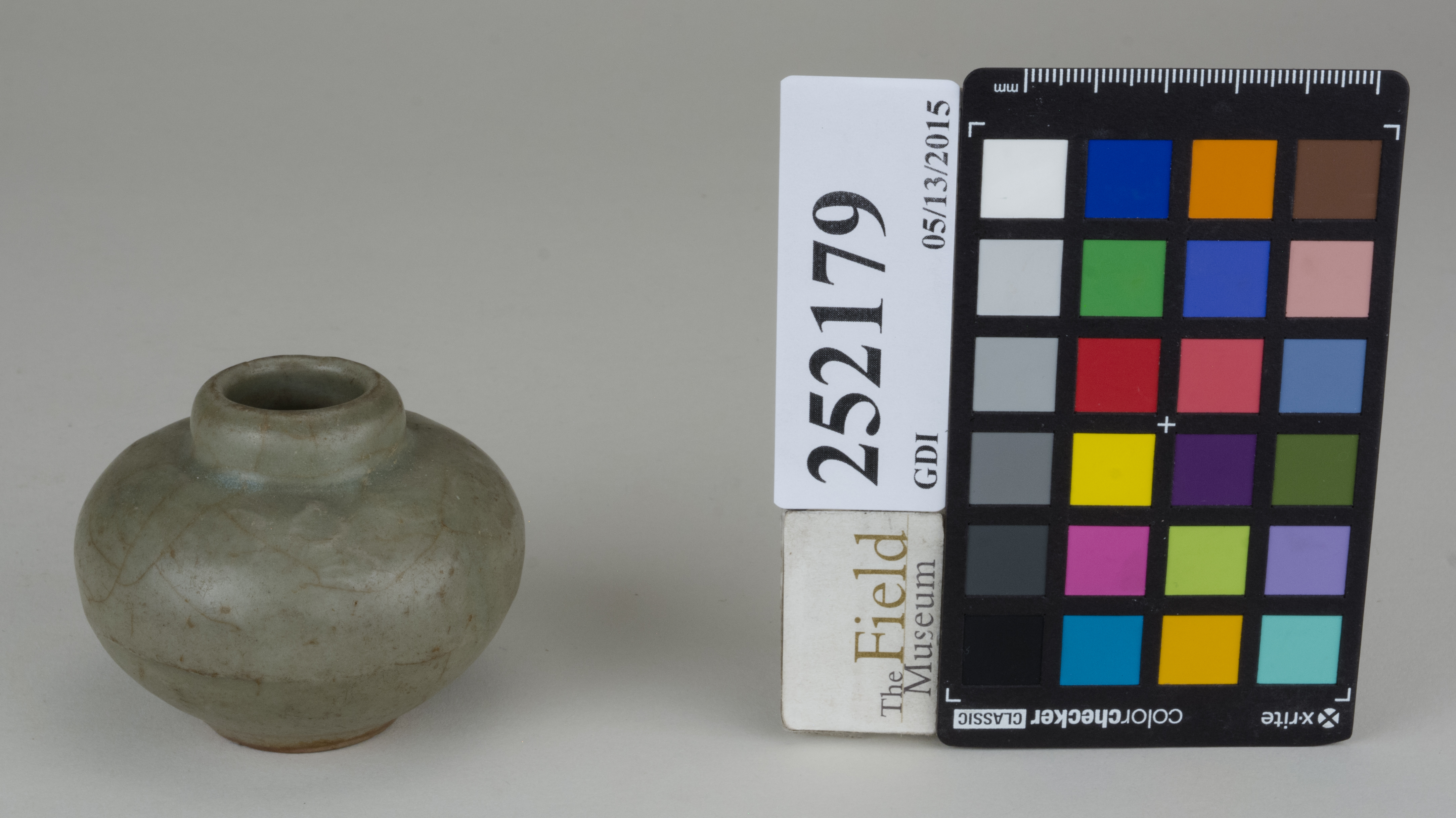 FrontAngle (c) Field Museum of Natural History - CC BY-NC 4.0