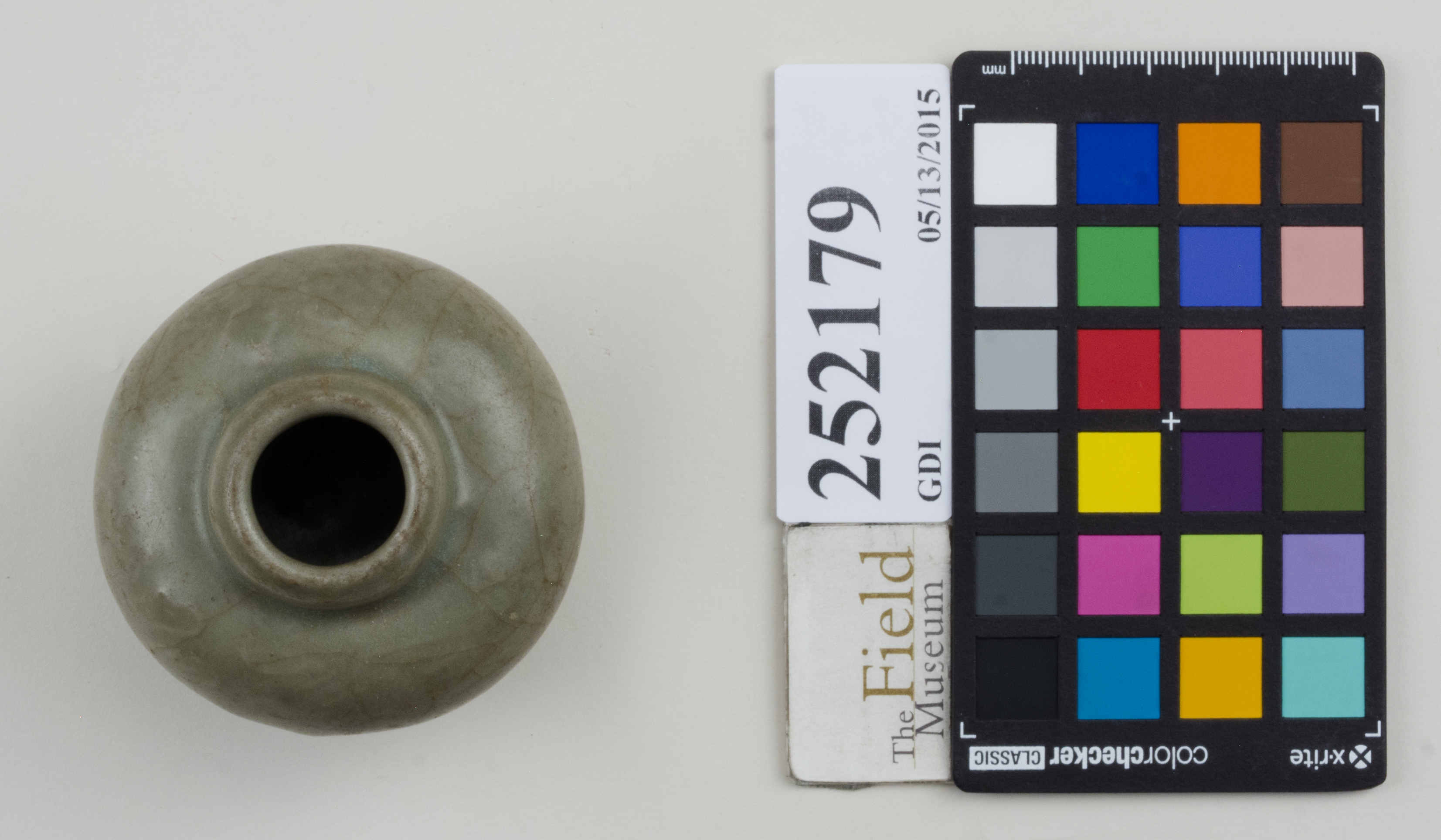 Top (c) Field Museum of Natural History - CC BY-NC 4.0