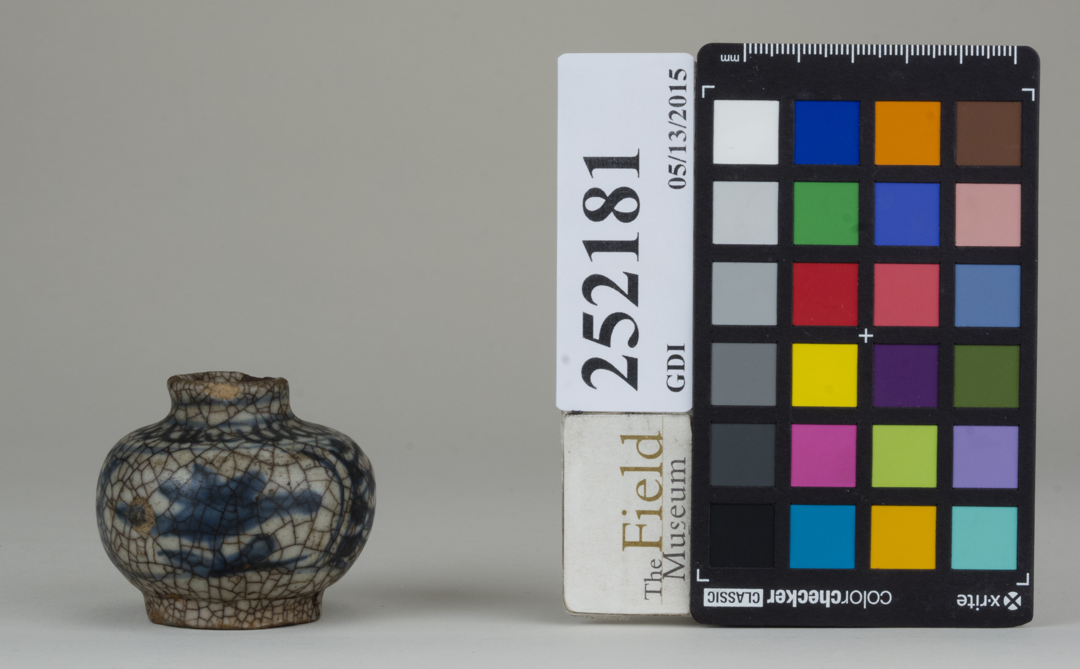 reference image, back (c) Field Museum of Natural History - CC BY-NC 4.0