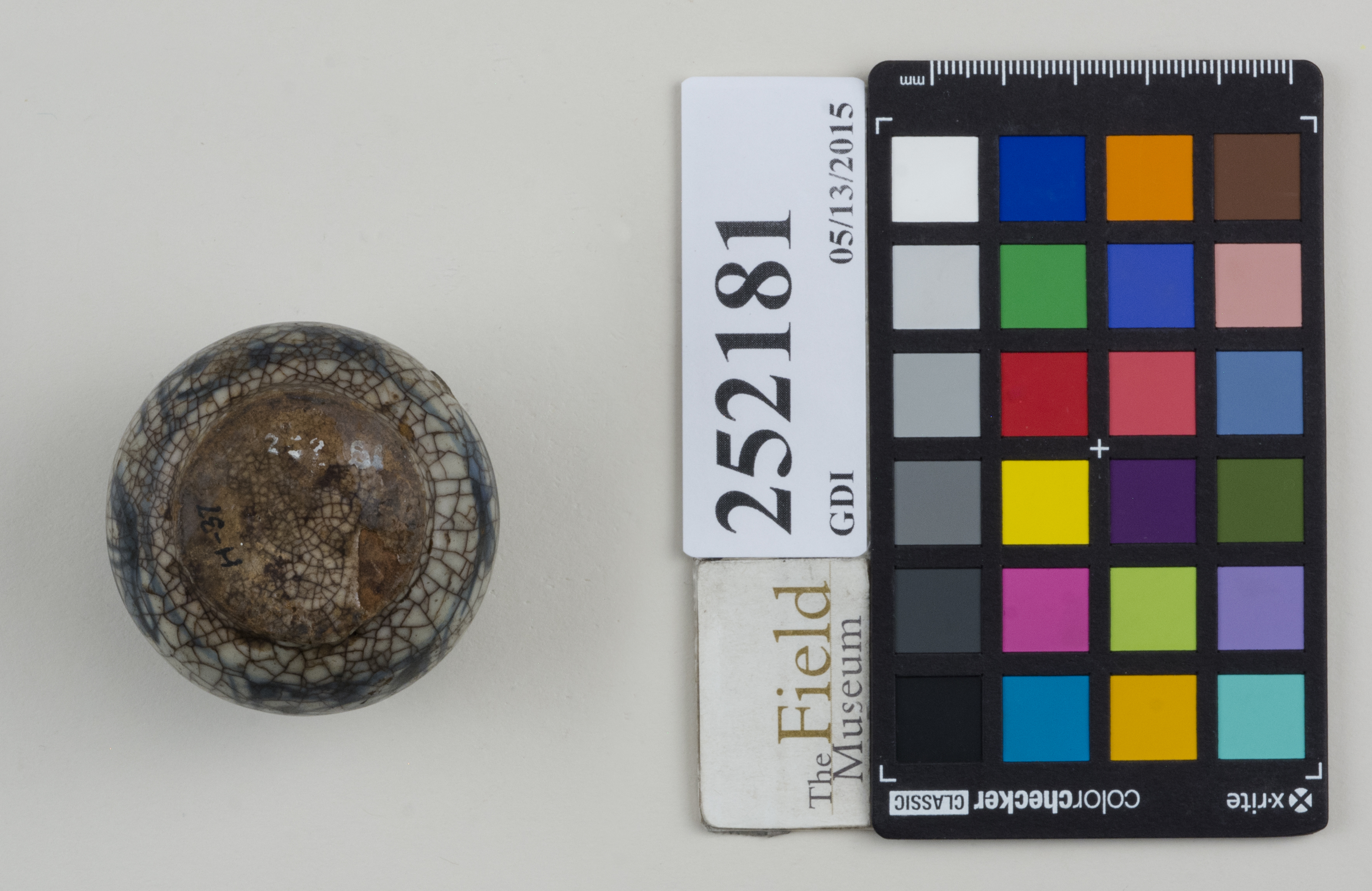 Bottom (c) Field Museum of Natural History - CC BY-NC 4.0