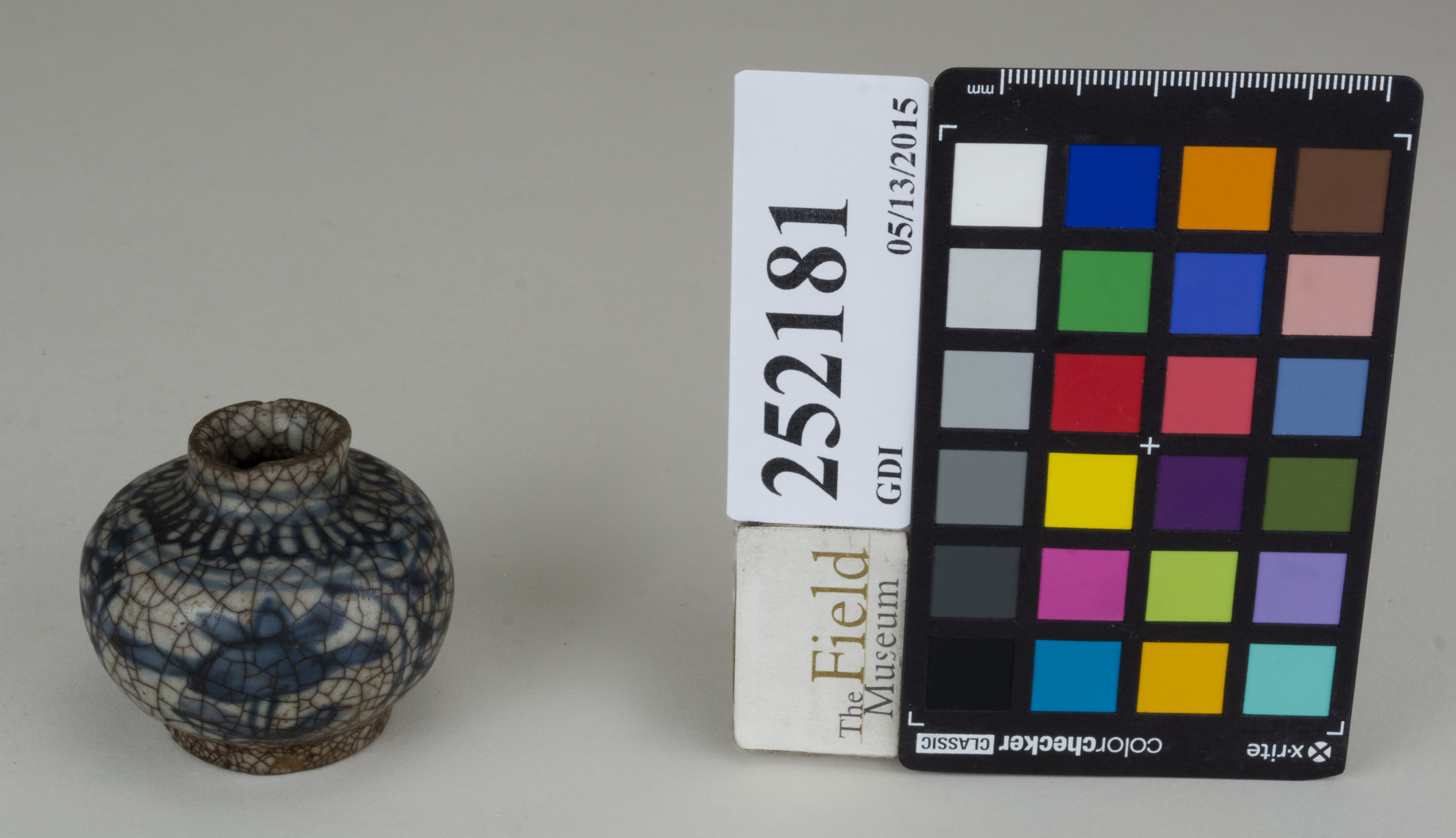 FrontAngle (c) Field Museum of Natural History - CC BY-NC 4.0