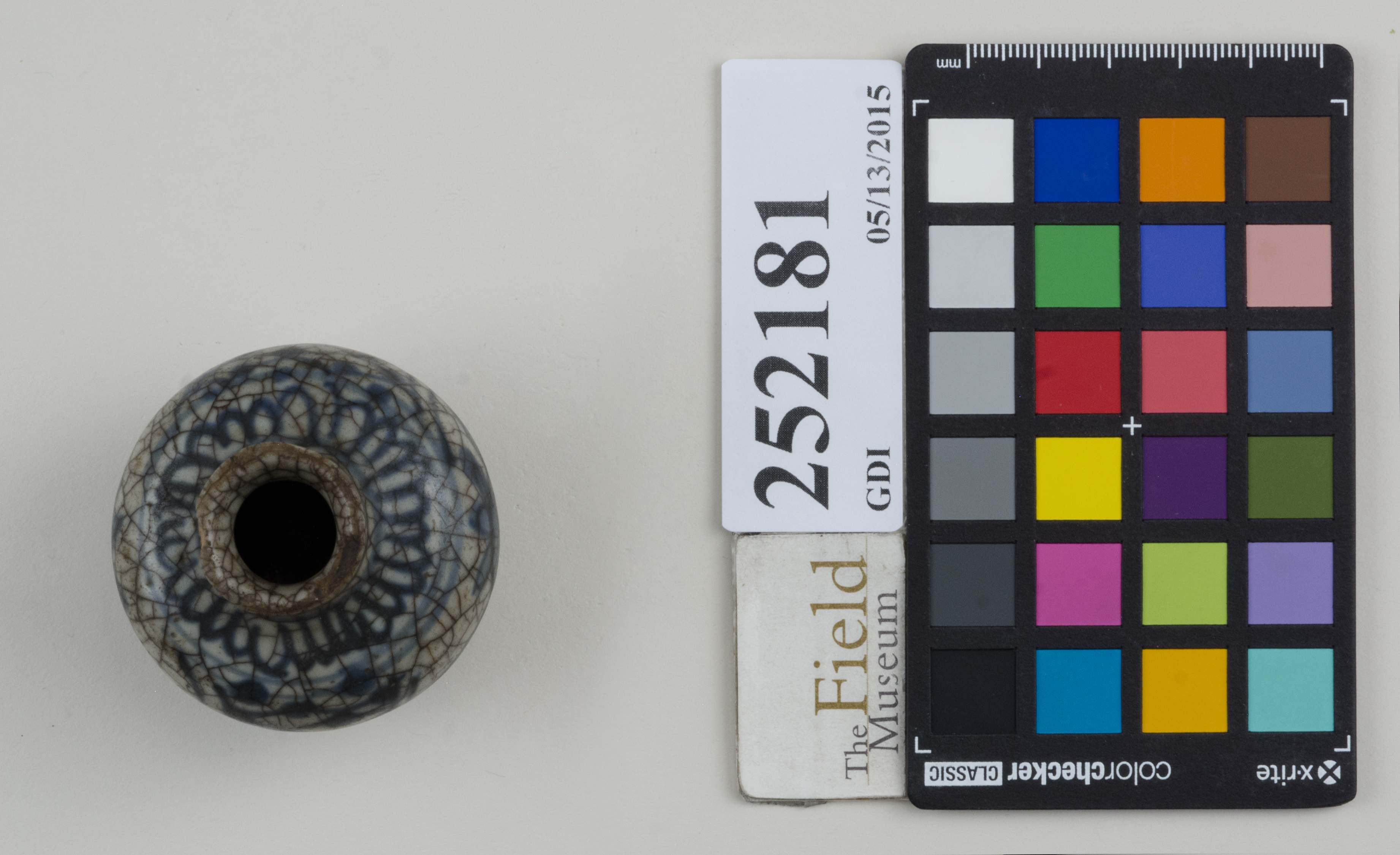 Top (c) Field Museum of Natural History - CC BY-NC 4.0