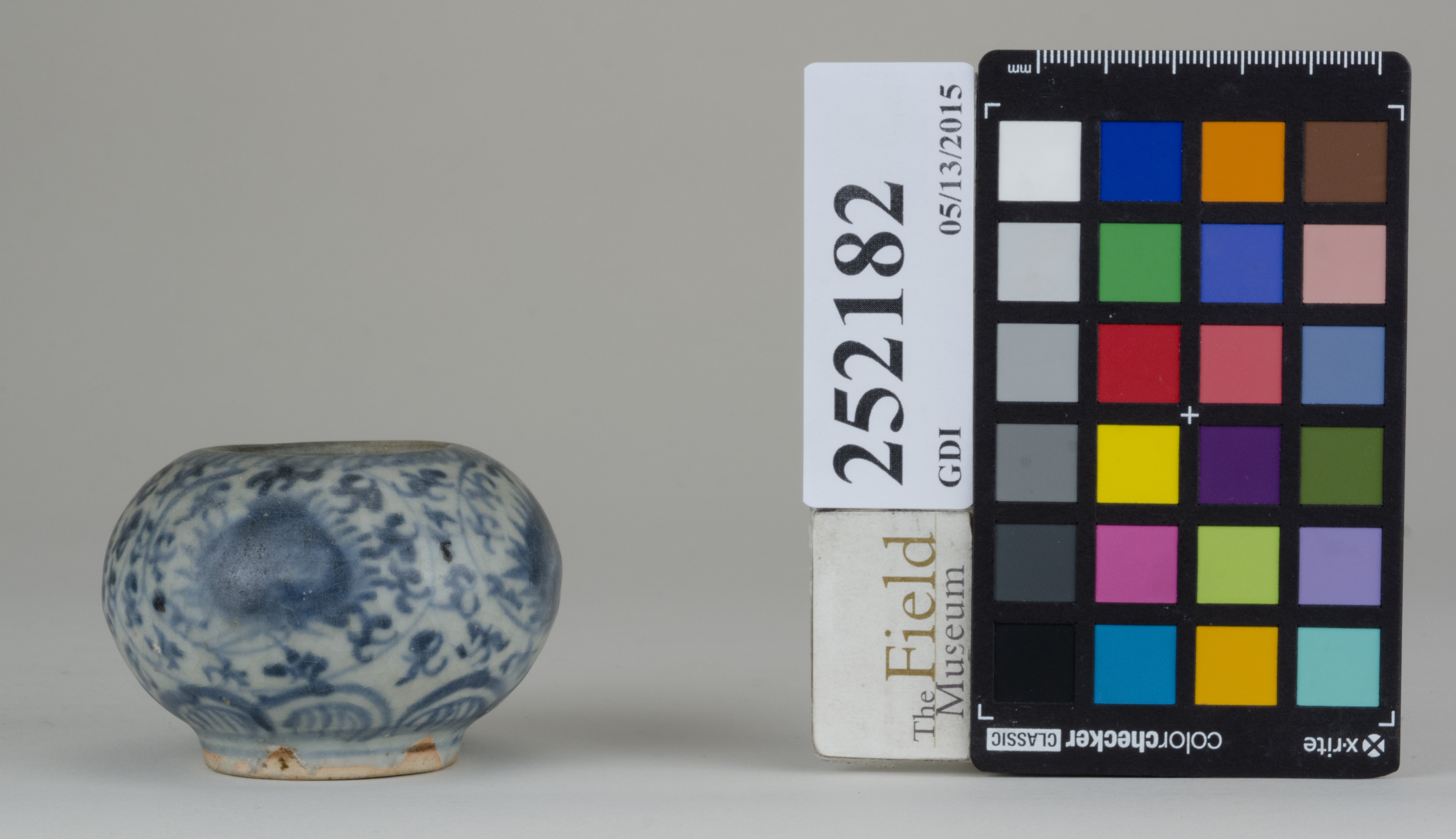 reference image, back (c) Field Museum of Natural History - CC BY-NC 4.0