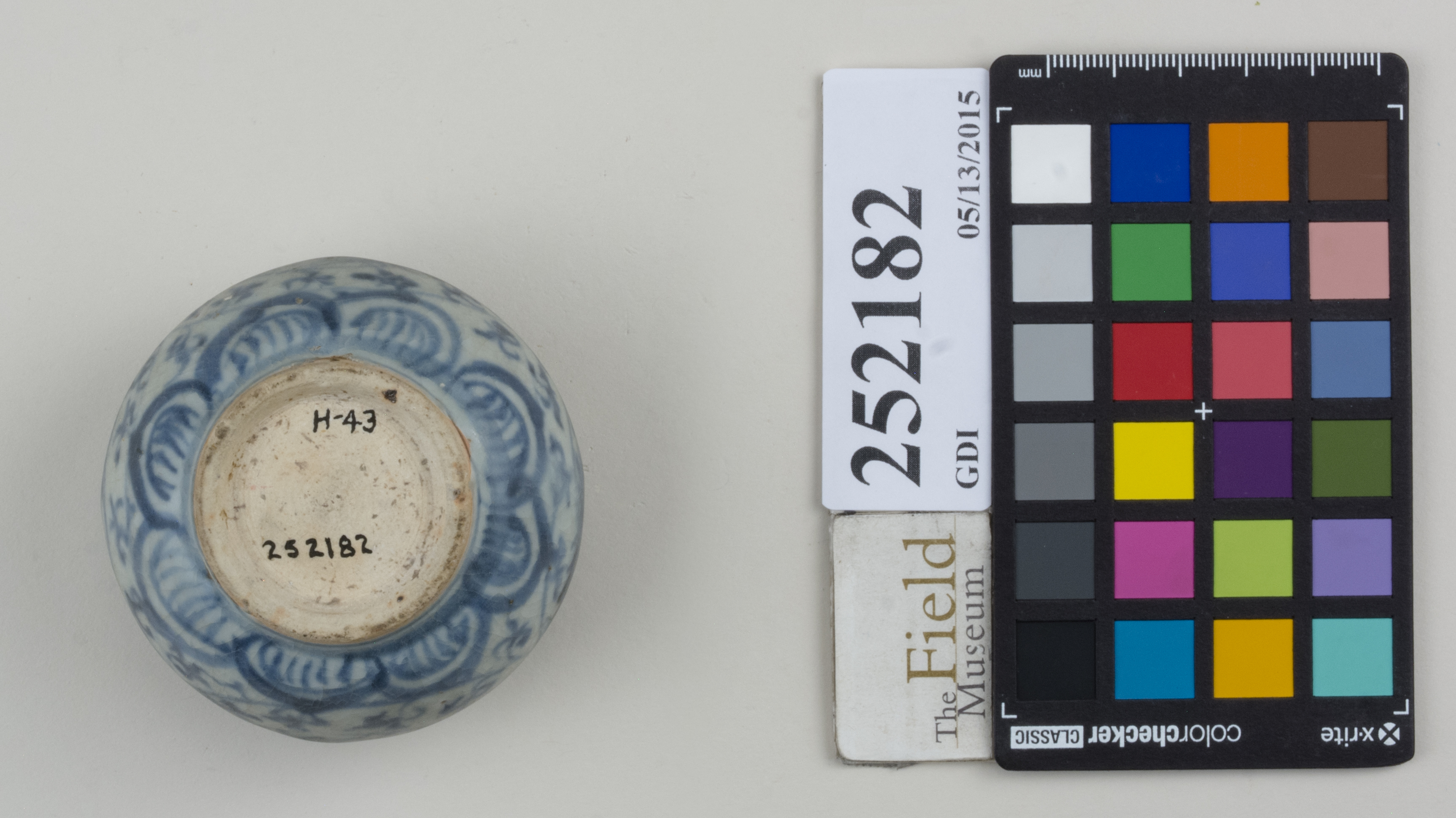 Bottom (c) Field Museum of Natural History - CC BY-NC 4.0