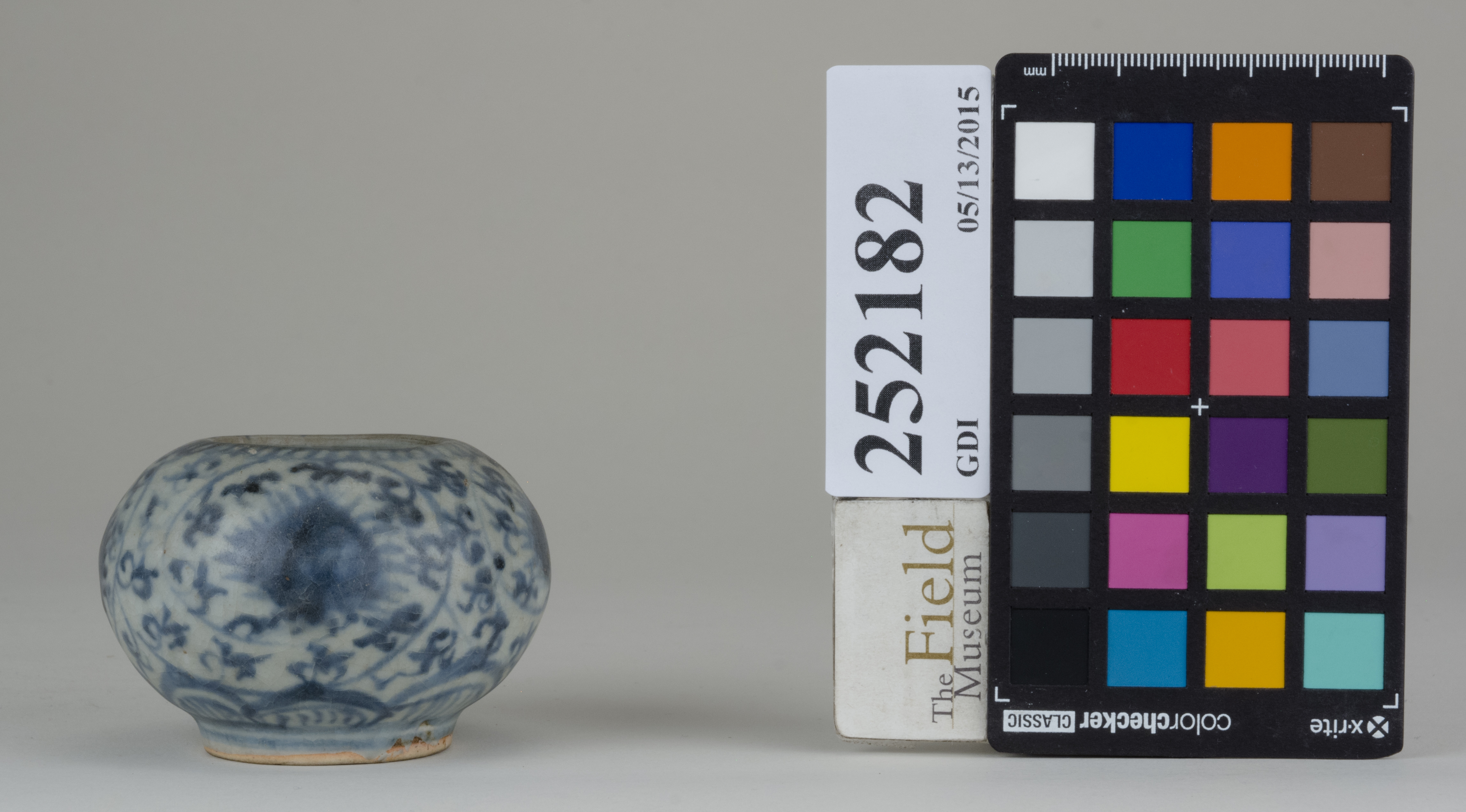 Front (c) Field Museum of Natural History - CC BY-NC 4.0