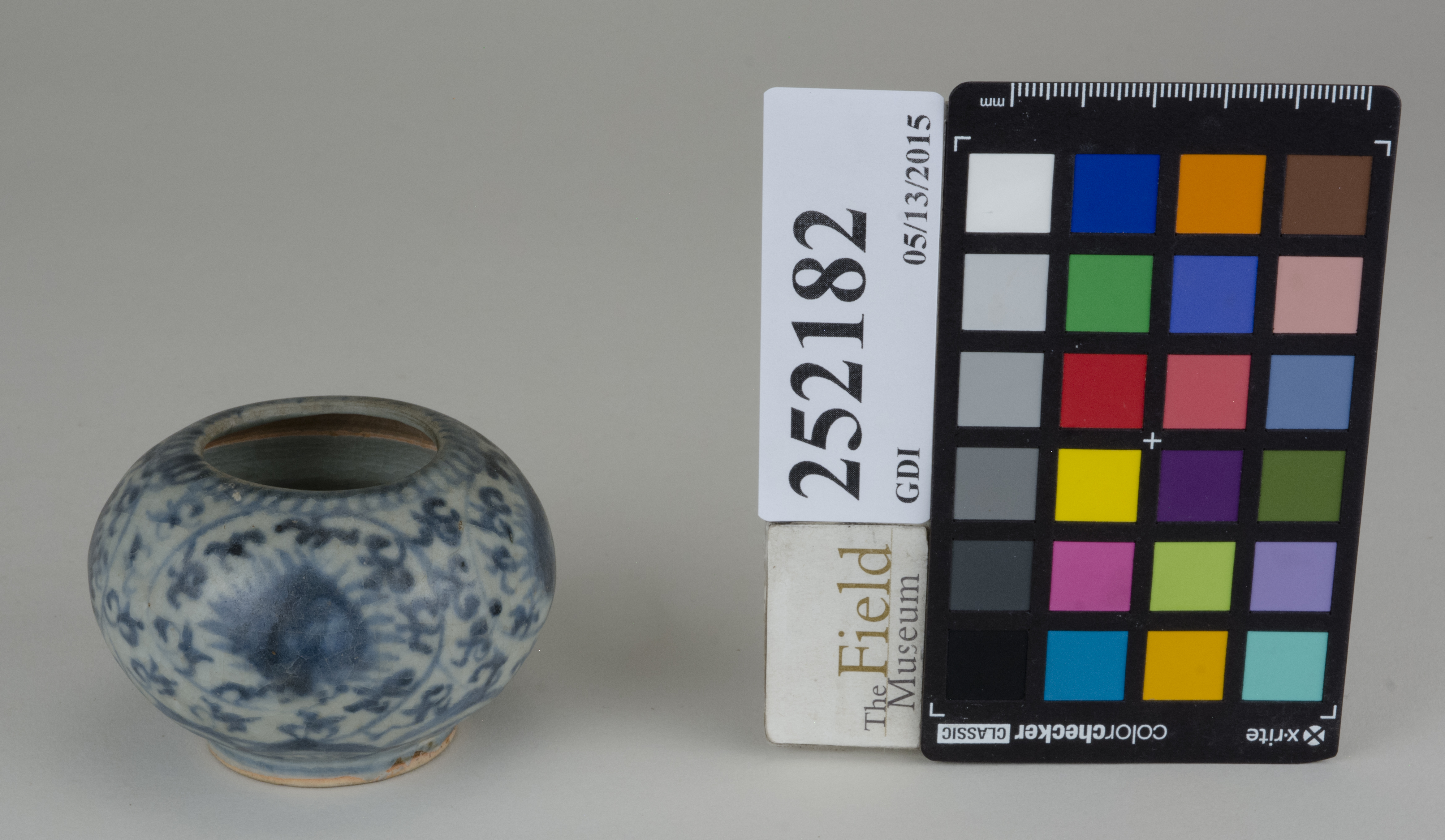 FrontAngle (c) Field Museum of Natural History - CC BY-NC 4.0