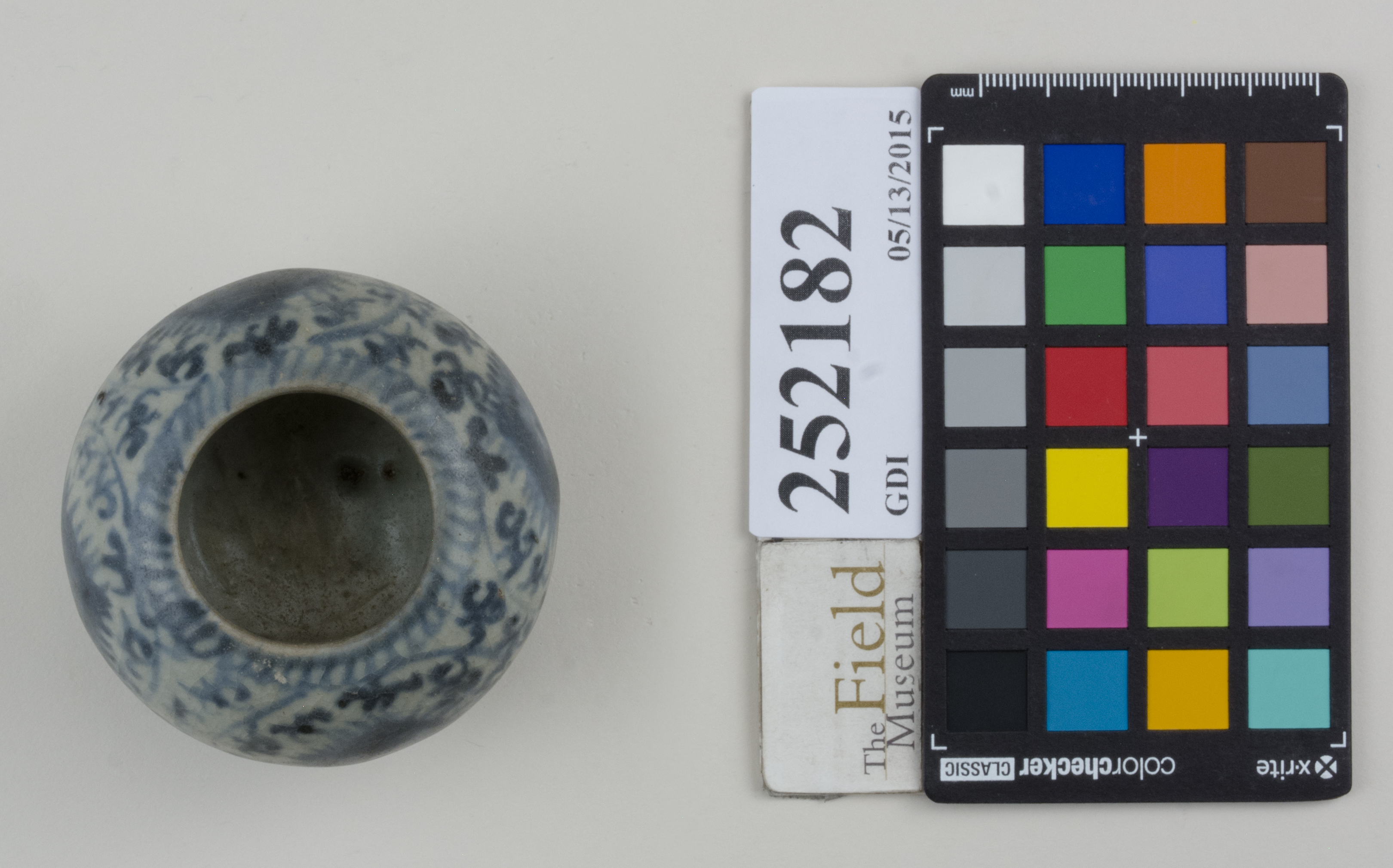 Top (c) Field Museum of Natural History - CC BY-NC 4.0