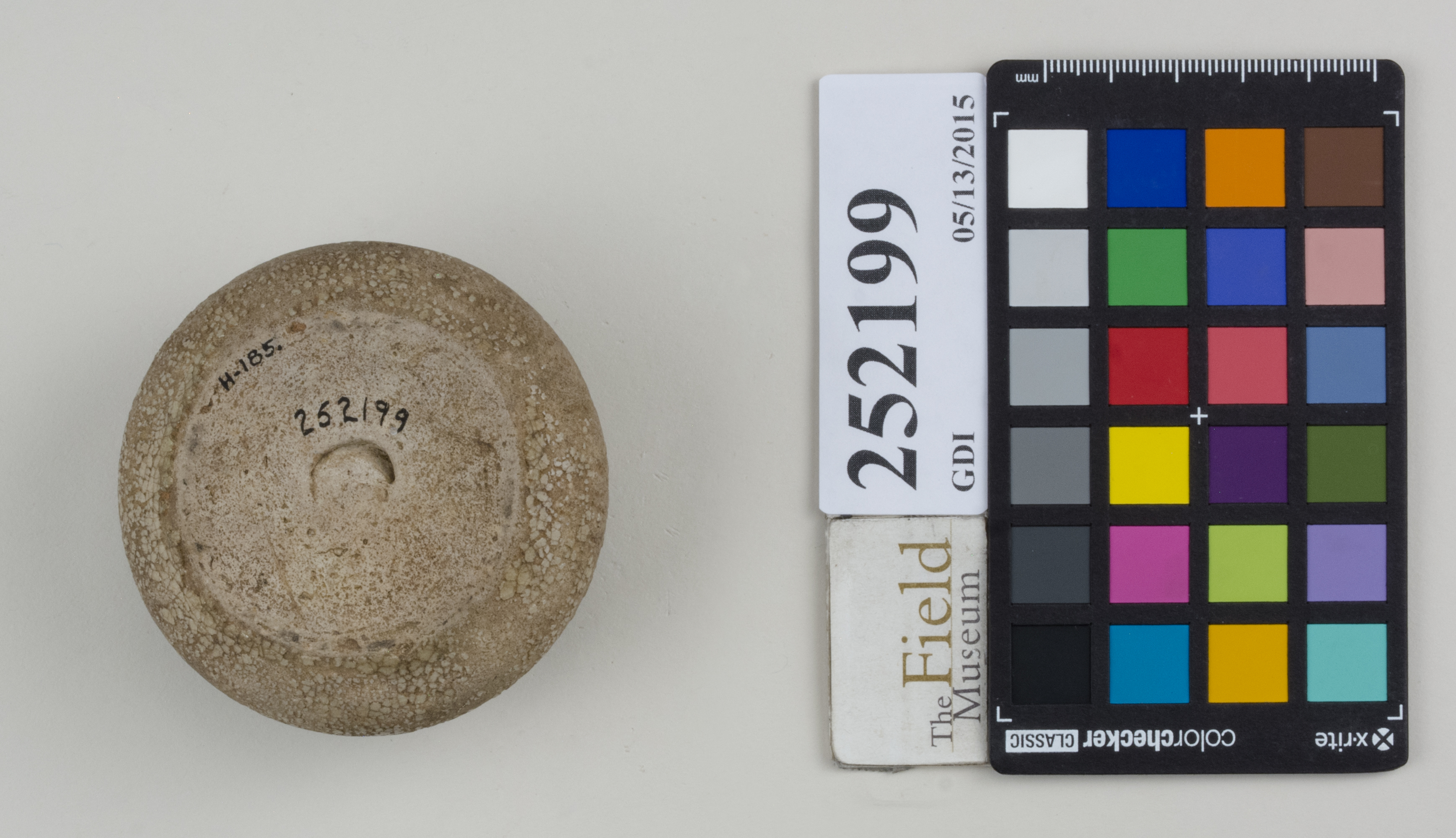 Bottom (c) Field Museum of Natural History - CC BY-NC 4.0