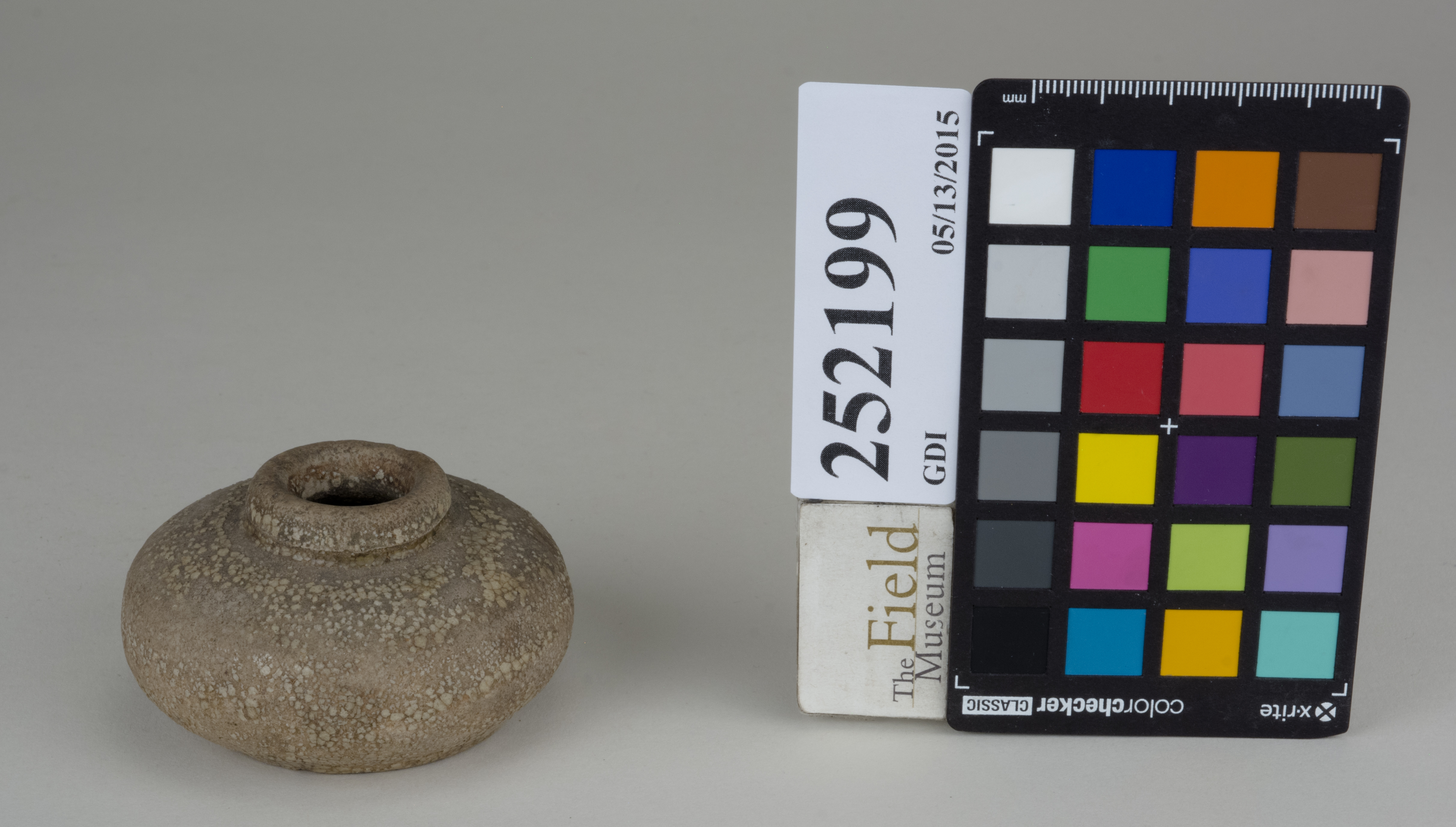 FrontAngle (c) Field Museum of Natural History - CC BY-NC 4.0