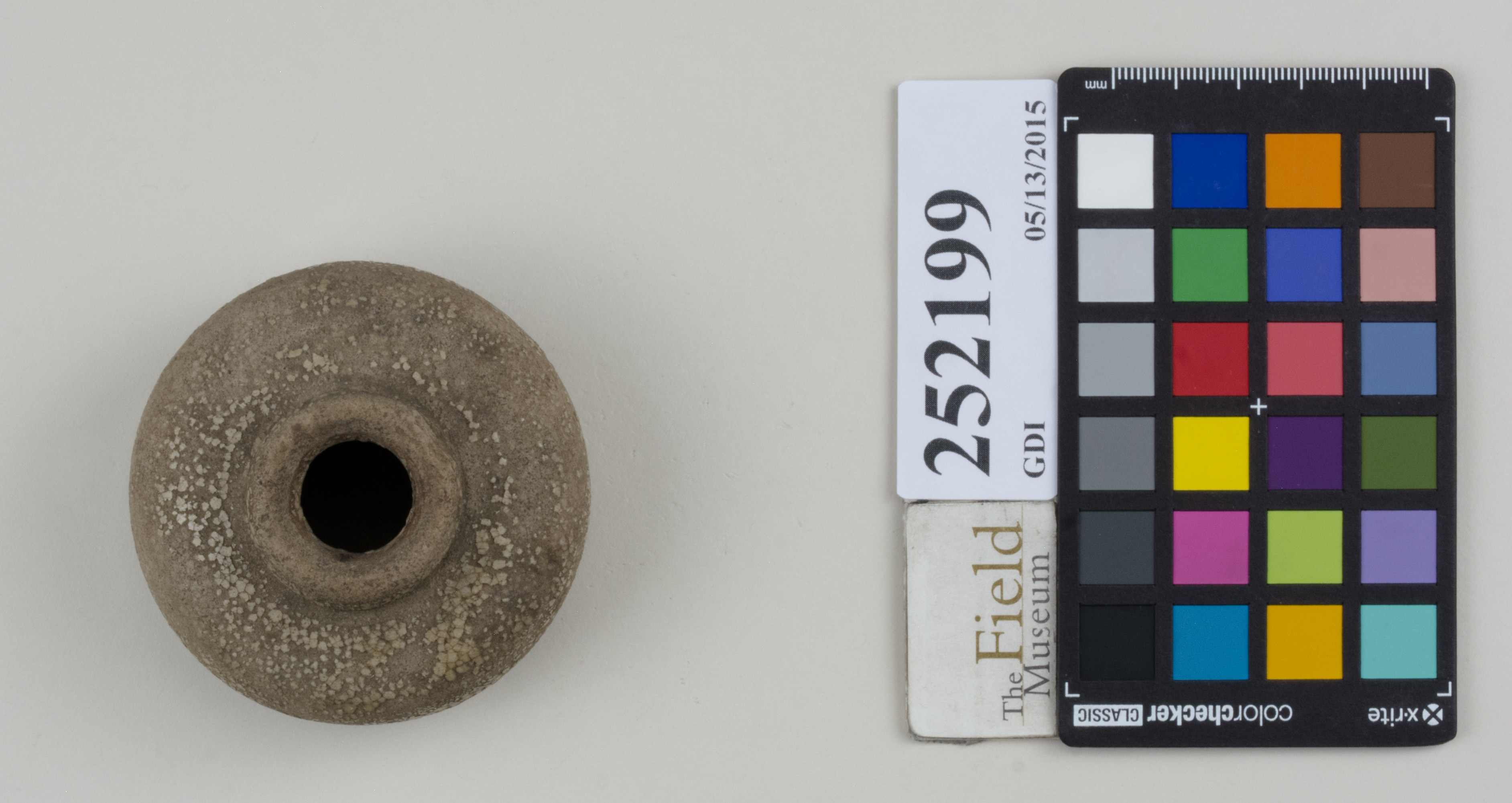 Top (c) Field Museum of Natural History - CC BY-NC 4.0