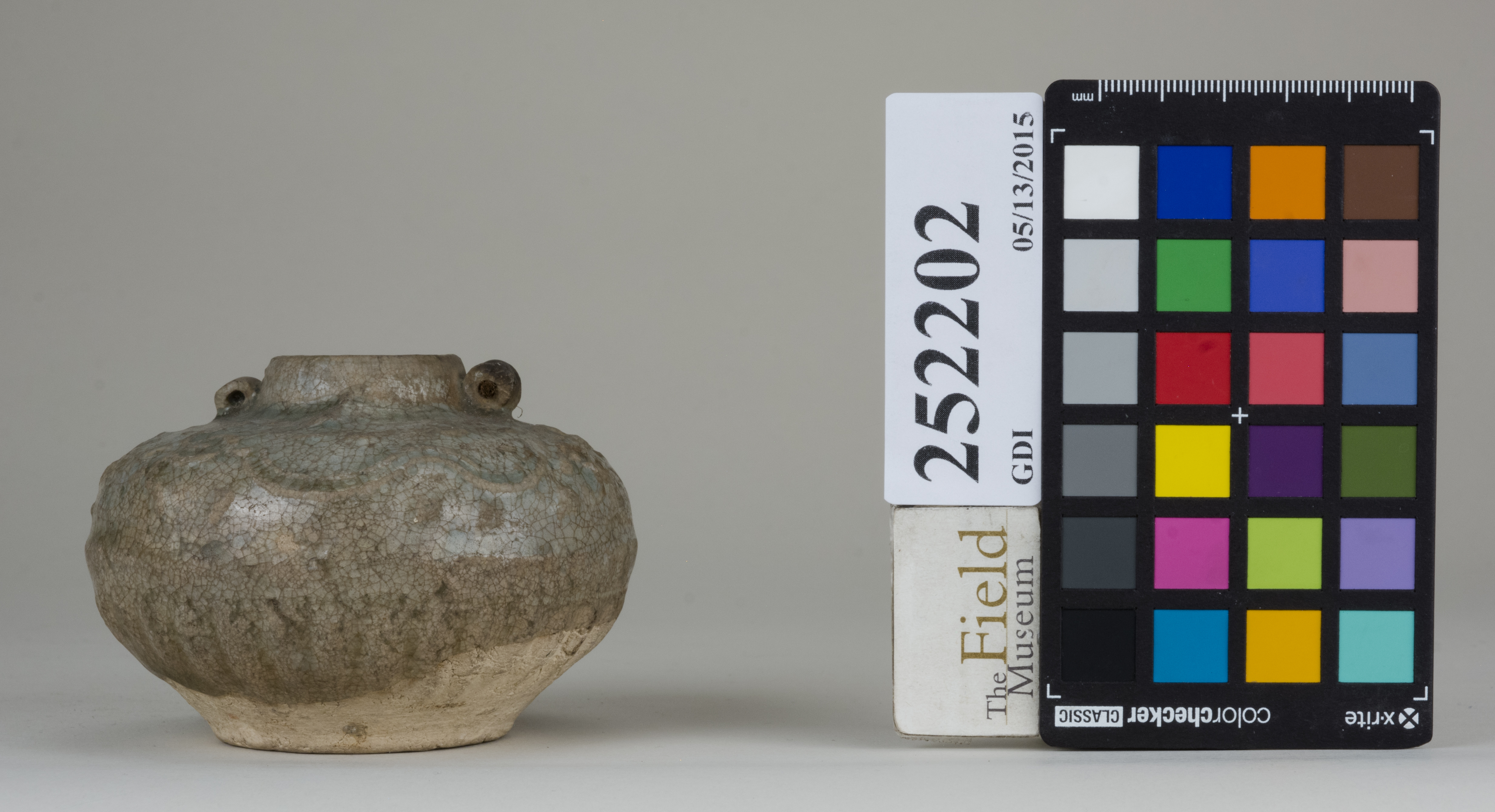 reference image, back (c) Field Museum of Natural History - CC BY-NC 4.0