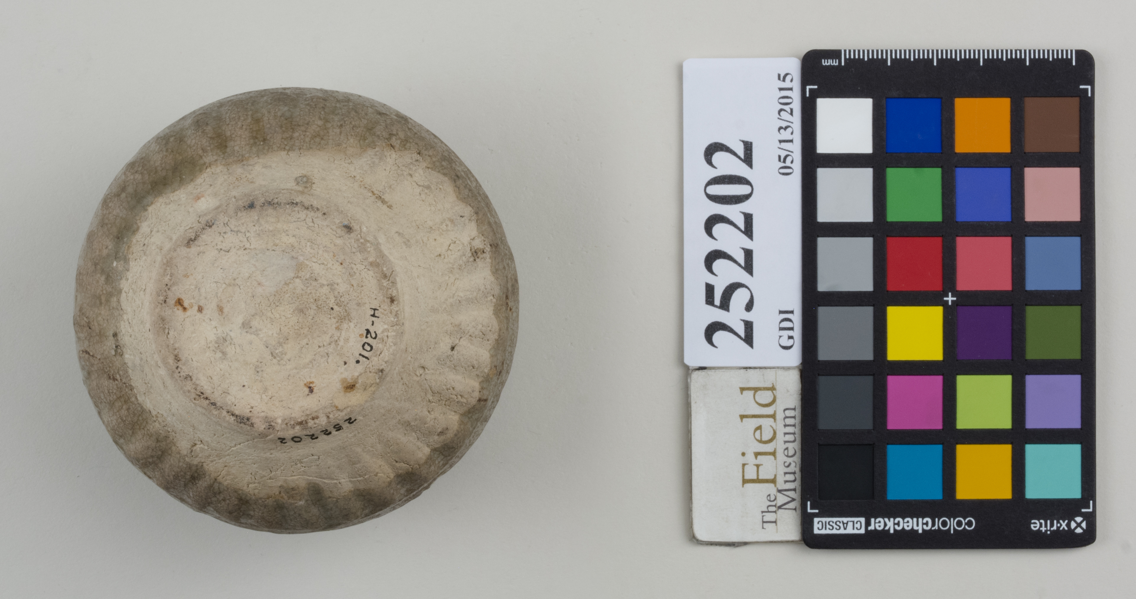 Bottom (c) Field Museum of Natural History - CC BY-NC 4.0