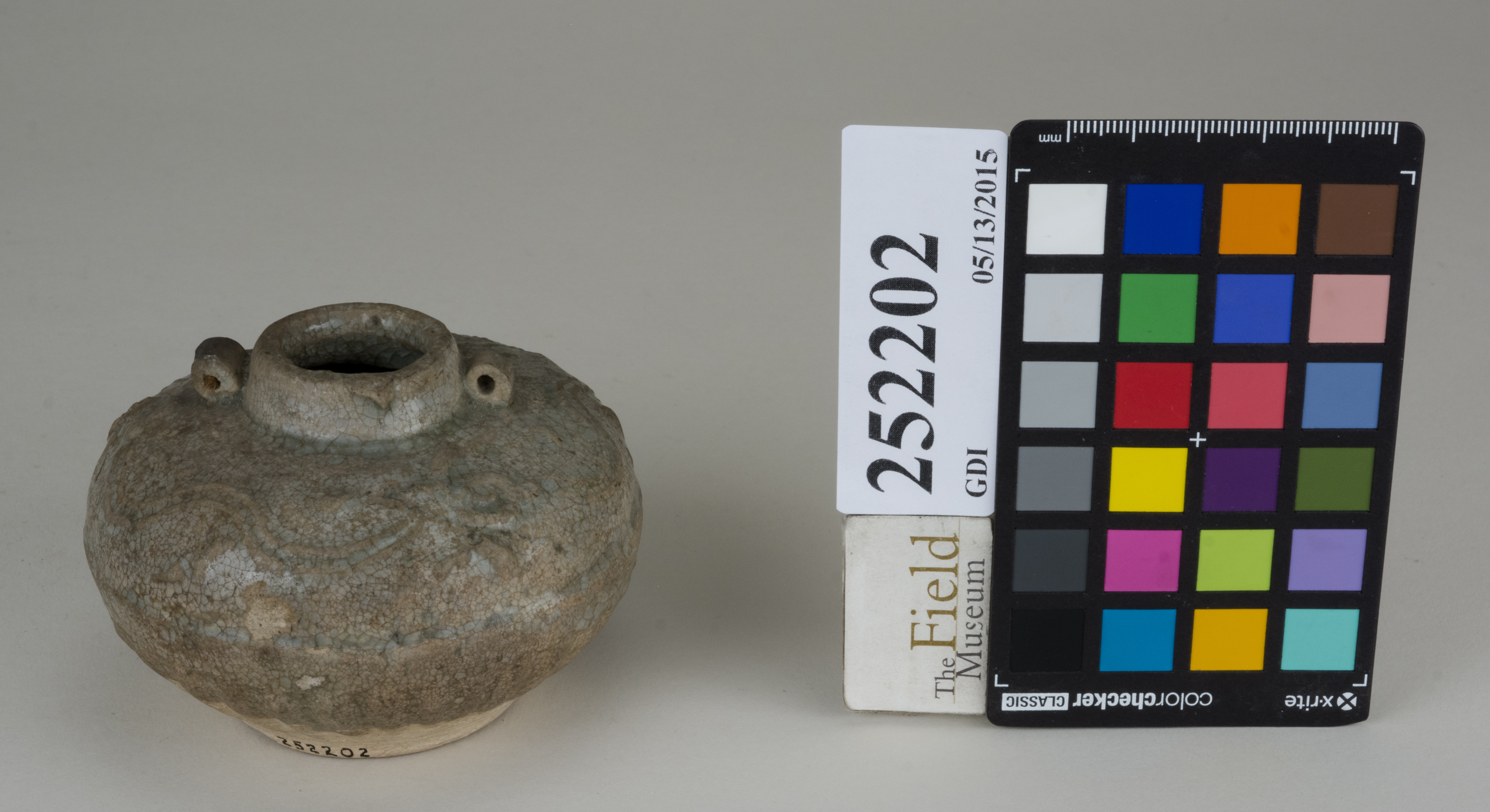 FrontAngle (c) Field Museum of Natural History - CC BY-NC 4.0