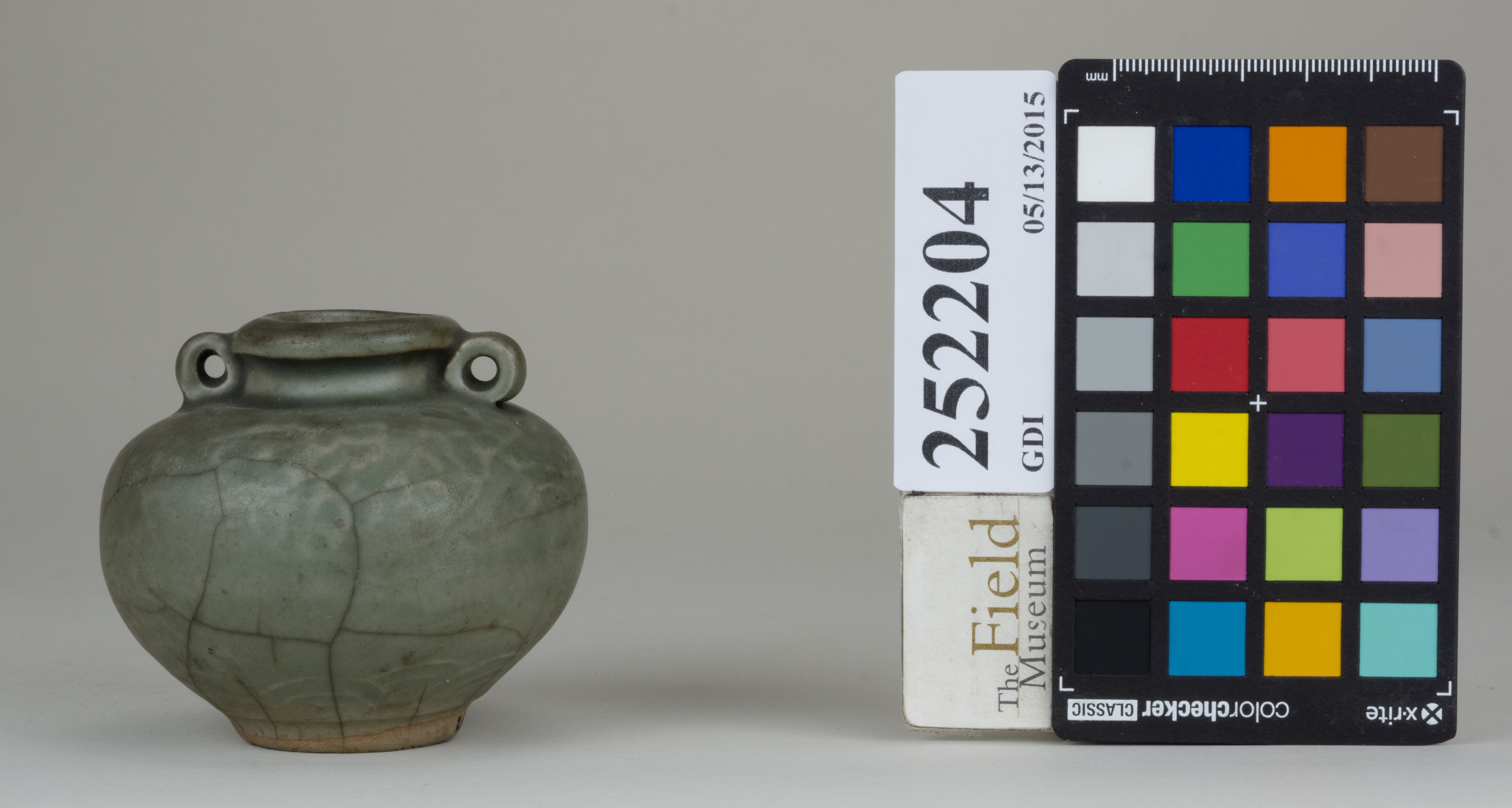 reference image, back (c) Field Museum of Natural History - CC BY-NC 4.0