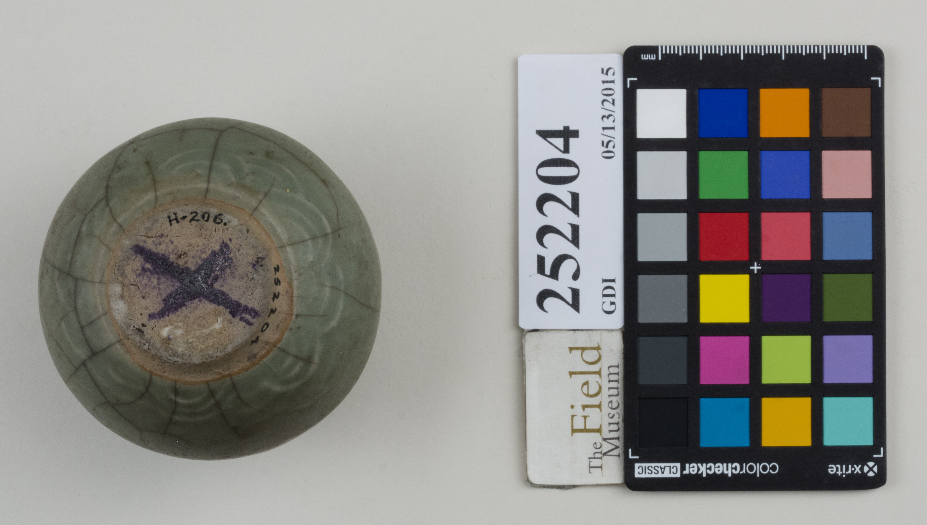 Bottom (c) Field Museum of Natural History - CC BY-NC 4.0